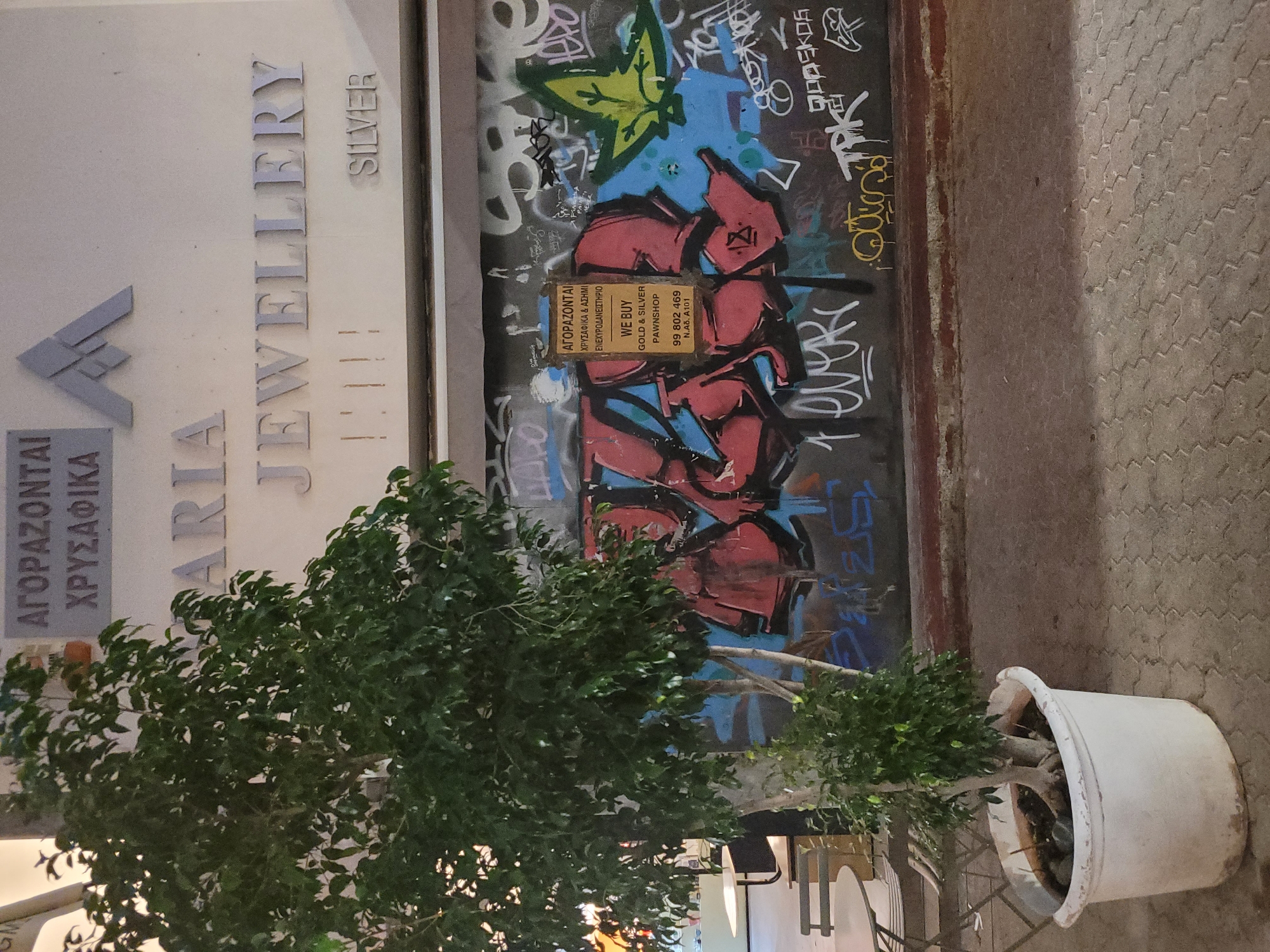 The image captures a street-level view of a building facade in Limassol, Cyprus, at night. A large potted ficus tree dominates the foreground, its dark green leaves illuminated by ambient light. Behind the tree, a wall is covered in graffiti, with prominent tags and a yellow sign. The sign, in both Greek and English, advertises "WE BUY GOLD & SILVER PAWNSHOP" and provides a phone number and an identifier "N.A8. A101". Above the graffiti, the building facade displays large, silver, three-dimensional lettering that reads "A R IA JEWELLERY". Higher up, more Greek lettering is visible, "ΑΓΟΡΑΖΟΝΤΑΙ ΧΡΥΣΑΦΙΚΑ", meaning "GOLD IS BOUGHT". The overall scene suggests an urban setting with elements of commerce and street art.