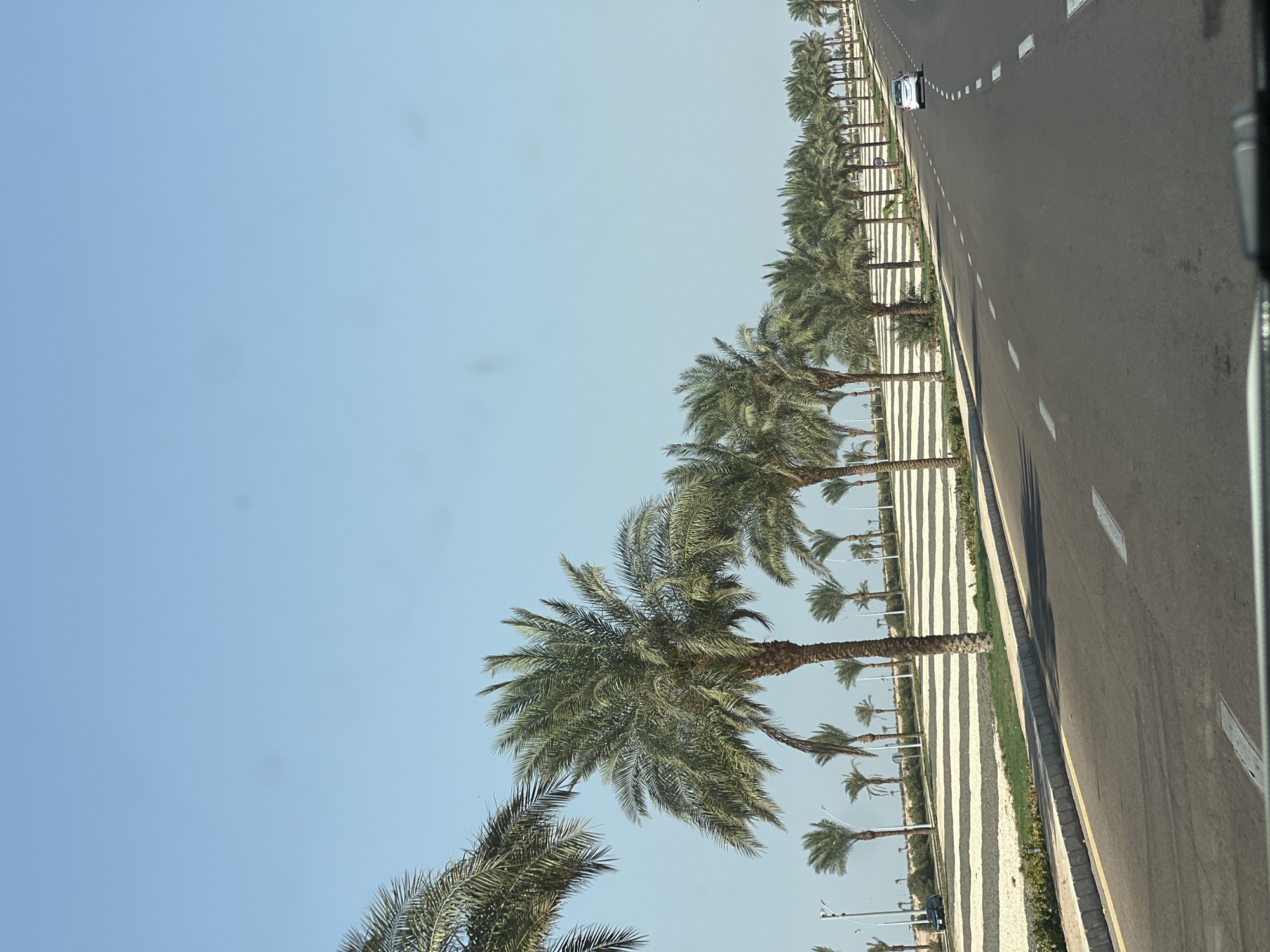 The image depicts a road lined with palm trees in Sharm El Sheikh, Egypt. The road is paved and has lane markings. On the left side of the road, there is a landscaped area with a pattern of alternating light and dark stripes, interspersed with grass and small plants. Several palm trees are planted along this landscaped area and further back. In the distance, there are more palm trees and what appears to be a parking lot or open space. A white car is visible on the road, further down and to the right. Another black car is parked on the far left. The sky is clear and blue. The scene suggests a well-maintained urban or resort area.