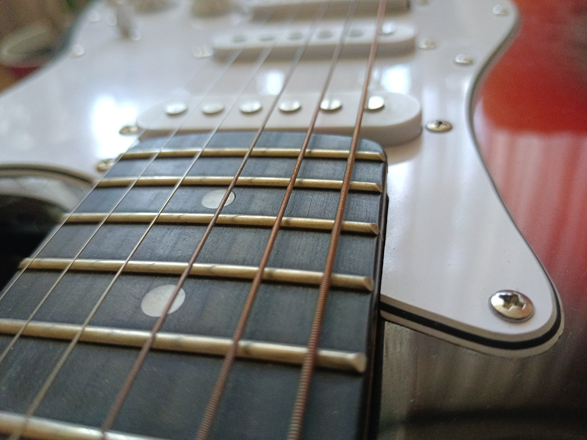The image is a close-up, low-angle shot of a section of an electric guitar. The guitar's fretboard, made of dark wood with metal frets, is in the foreground. Six strings, appearing to be made of copper or bronze, run parallel along the fretboard. White fret markers are visible on the fretboard.
Behind the fretboard, the white body of the guitar is visible, with several white knobs and a pickup selector switch. The red body of the guitar curves into view on the right side of the image. A shiny metal screw is also visible on the white body.
The lighting suggests an indoor setting, with reflections on the guitar's surface indicating ambient light sources. The background is out of focus and appears to be a blurred, light-colored surface, possibly a table or wall.
There are no people, animals, or any elements that would indicate a specific location within the city of Severnyi, Russia. The image solely focuses on the musical instrument.