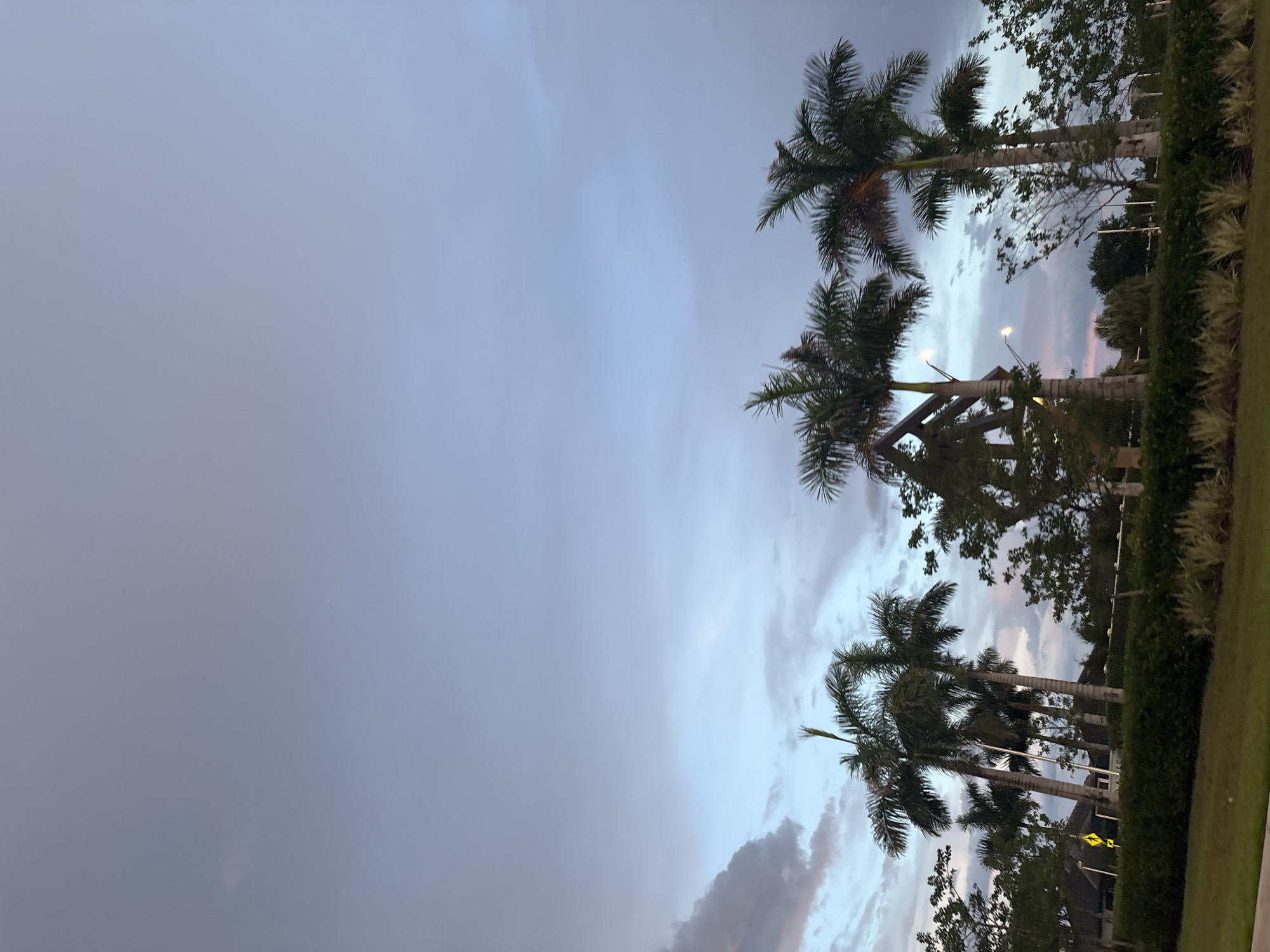 The image depicts a cloudy sky with hints of pink and purple hues, suggesting it may be dusk or dawn. Several palm trees stand tall in the foreground, their fronds silhouetted against the sky. In the background, there is a dense line of green foliage, a building with a dark roof, and a yellow road sign. The overall scene suggests an outdoor environment in a location with a tropical or subtropical climate, consistent with cities like North Port, Florida, USA.
