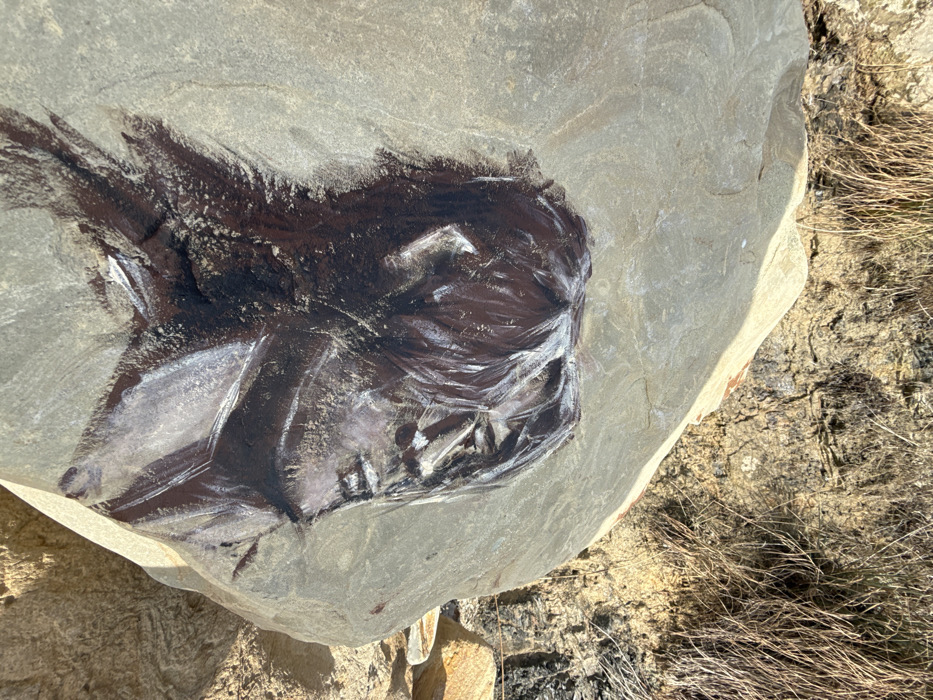 A large, weathered, light-colored sedimentary boulder, approximately 1.5 meters in visible length, rests on a sandy and rocky surface. Carved into its upper face is a low-relief representation of a human head, oriented in profile and facing right. The carving is enhanced with dark reddish-brown paint applied to the hair and recessed facial features, contrasted by white paint highlights on the hair strands and elevated planes, creating a textured, almost wet appearance. The figure exhibits long hair, a distinct nose, and a defined jawline. The boulder is situated at the base of a steep embankment or cliff face, composed of layered sedimentary rock formations and sparse, dry, light-brown vegetation. The scene is illuminated by strong natural daylight, casting shadows and creating sharp highlights. This environment is characteristic of the natural coastal or cliffside areas within Anapa, Russia. No individuals are present in the image.