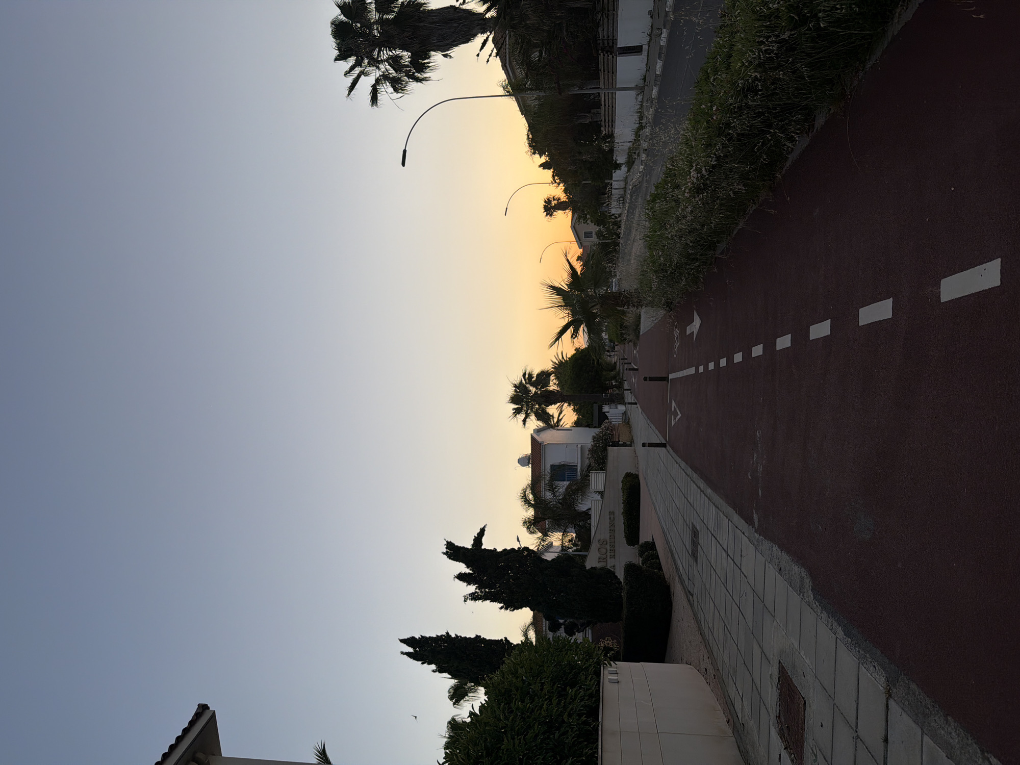 This image captures a serene street scene in Pervolia, Cyprus, at either dawn or dusk. The sky transitions from a soft, light blue-grey on the left to a warm, gentle yellow-orange on the right, indicating clear weather conditions during sunrise or sunset.
The primary subject is a pathway system. A red-surfaced path, marked with white dashed lines and a faint bicycle symbol, suggests a dedicated lane for pedestrians and cyclists. To its left runs a grey tiled sidewalk. Further to the right, a narrow paved road is visible, partially obscured by roadside vegetation.
The path is flanked by abundant greenery, including numerous tall palm trees and cypress-like trees, which are silhouetted against the colorful sky. Various bushes and shrubs also line the street. Several curved street lamps stand as dark silhouettes against the bright horizon.
Behind the trees and foliage, multiple light-colored buildings are visible, some featuring red-tiled roofs and balconies. On one building, part of a sign is legible, reading "ROS" and "A RESIDENCE," likely indicating the name of a property. Satellite dishes are also noticeable on a rooftop.
No people are present in the image, contributing to a sense of tranquility and quietude. The notable details include the striking contrast of the silhouetted elements against the vibrant sky and the distinct infrastructure of the paths.