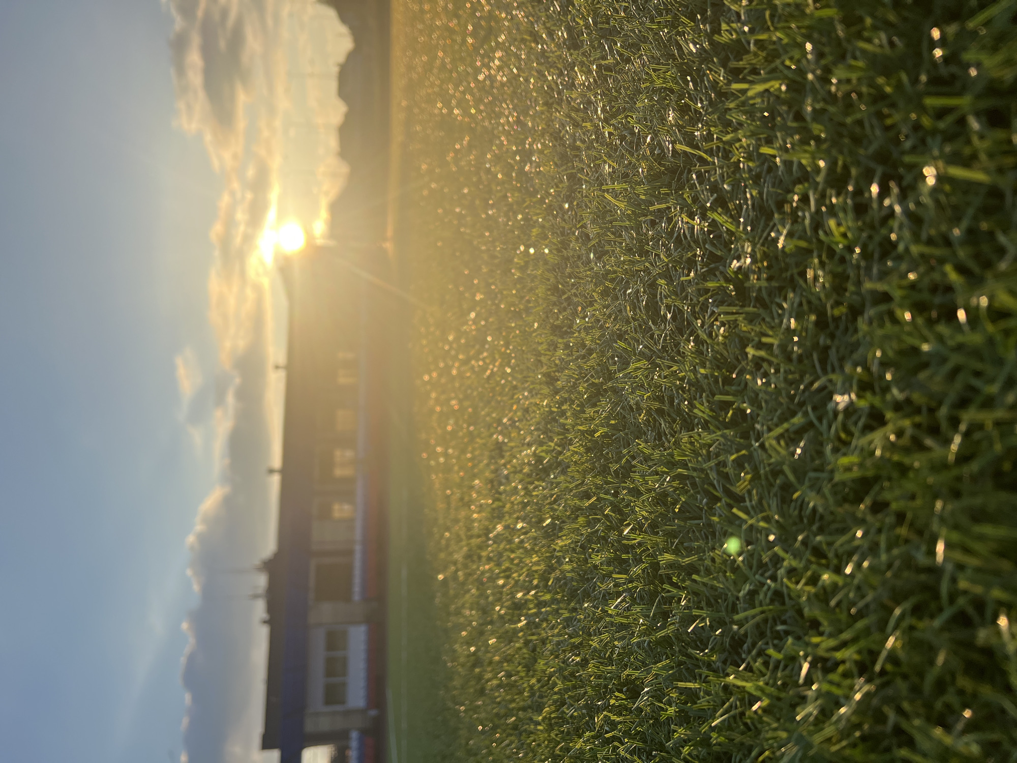 The image depicts a close-up, low-angle view of a vibrant green artificial turf field, likely a sports field. The grass is lush and well-maintained, with individual blades clearly defined. The sun is setting, casting a warm, golden glow across the entire scene. The low angle of the sun creates a beautiful effect of light catching the water droplets on the grass, making them sparkle like diamonds.
In the background, a building with multiple windows and a blue facade is visible, suggesting a sports facility or stadium. The sky is a clear blue, with soft, wispy clouds illuminated by the setting sun. The overall mood is serene and tranquil, evoking a sense of peacefulness and the beauty of nature at dusk. The light filtering through the grass creates a dreamy, almost magical atmosphere. The location is identified as Noviy, Russia. No people or animals are visible in the frame.