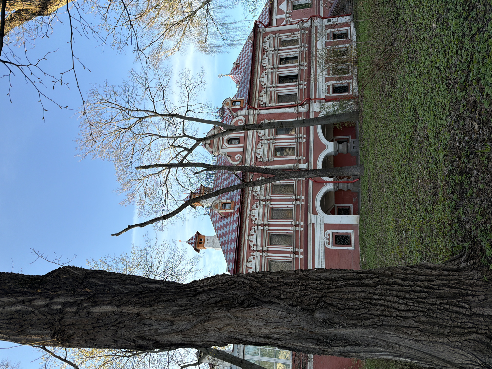 An outdoor, upward-angled shot captures a historic building partially framed by trees against a clear blue sky. The multi-storied building, positioned to the right of the frame, features striking red walls adorned with intricate white architectural details, including ornate window frames, cornices, and pilasters. Its prominent roof is covered in a distinctive red and white checkered pattern, topped with several gables and at least one small tower or spire with a red flag. Dark-paned windows are visible across its facades, some with arched openings on the lower levels, which appear to be entrances or ground-level windows.
In the immediate foreground, a large tree trunk with dark, deeply textured bark stands vertically, partially obscuring the view. Beyond it, several bare deciduous trees with slender branches and visible buds suggest the season is late winter or early spring. To the right of the building, a gentle slope is covered with vibrant green ground cover, contrasting with some patches of bare earth and twigs. The bright, cloudless blue sky indicates a clear and sunny day. The architectural style of the building is characteristic of historical Russian architecture, consistent with a Moscow location. There are no people or visible text in the image.