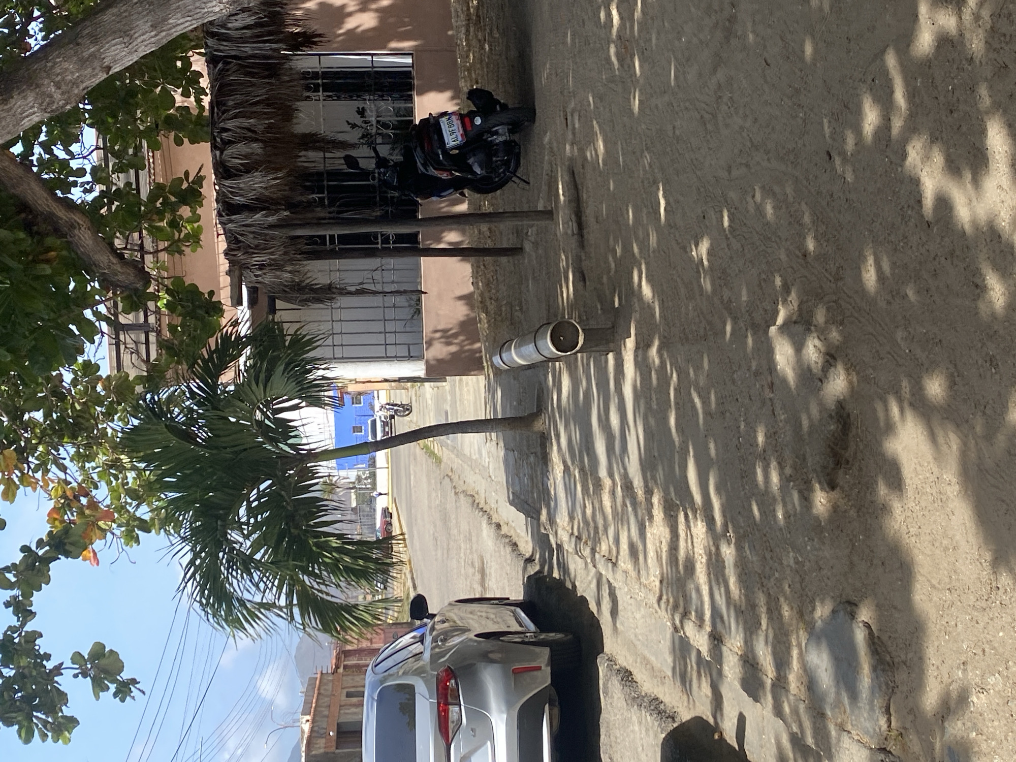 The image depicts a street in Juan Griego, Venezuela, with a palm tree on the left, a building with a thatched roof, and a parked silver car in the foreground. A motorcycle is parked further up the street. Shadows from trees dapple the street surface. A white cylindrical object rests near the curb.