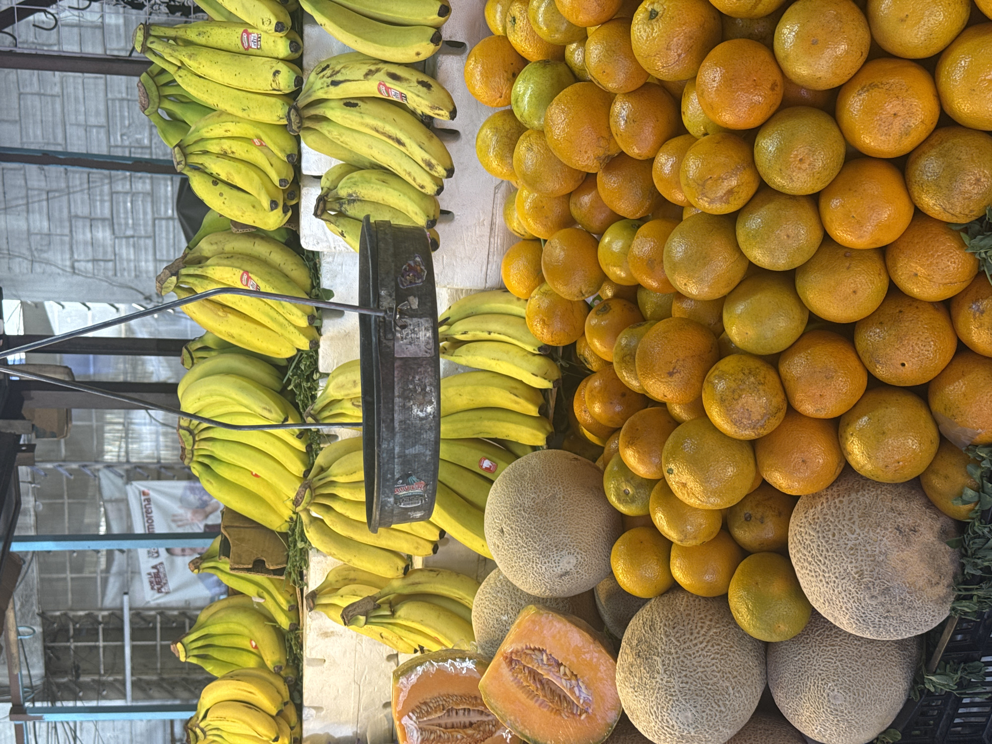 This image captures a vibrant display of fresh produce at what appears to be a market stall, presented from an overhead perspective looking downwards. The scene is dominated by large quantities of ripe fruits arranged in distinct sections.
On the left side, numerous bunches of yellow and slightly green-tinged bananas are stacked neatly, extending vertically through the frame. Many of these bananas feature small red stickers, likely brand or origin labels, though the text is not clearly legible. A dark, metallic, cylindrical object, possibly part of a weighing scale or container, is centrally positioned, partially obscuring some of the banana bunches.
To the right, a vast assortment of oranges fills a significant portion of the image. These oranges exhibit a range of hues, from bright yellow-orange to a deeper, richer orange, with some displaying green undertones. Below the oranges, several whole cantaloupes are visible, characterized by their textured, light brown netted skin. One cantaloupe is prominently cut in half, revealing its bright orange flesh and numerous seeds. Small green leafy garnishes are interspersed among the fruits, adding a touch of freshness.
In the background, a large white banner or poster is partially visible. It displays text and what appear to be images of people. The words "PUEBLA" and "morena" are clearly discernible, serving as strong location cues and indicating the presence of a political advertisement in Puebla, Mexico. The lighting suggests it is daytime. The overall impression is that of an active market environment focused on the display and sale of fresh produce. No people are directly visible within the frame.