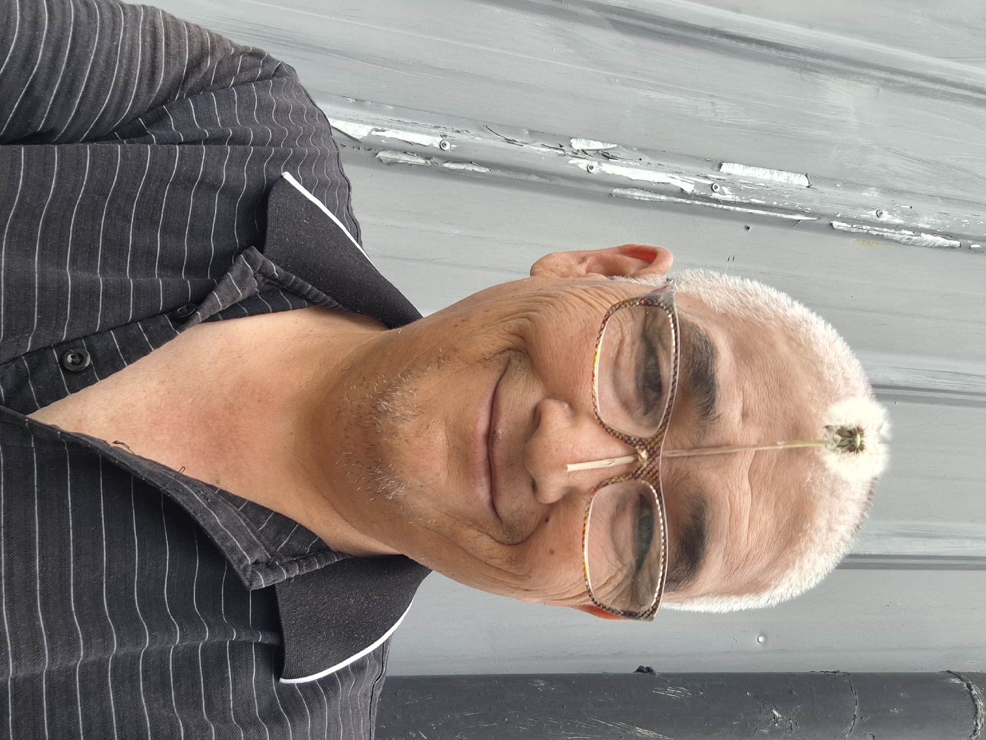 A close-up, waist-up shot shows a middle-aged East Asian man standing against a corrugated metal wall. The man has short, light-colored hair and is wearing glasses with a patterned frame and a collared, striped shirt. A dandelion seed head is balanced on a toothpick that is perched on the bridge of his nose, with the stem extending upwards to his forehead. He is smiling directly at the camera. The background is a gray, weathered metal wall with vertical grooves and areas of peeling paint, and a dark pipe is visible on the right side of the frame. The scene appears to be outdoors in an urban environment, possibly an industrial or back alley area. The specific location within Almaty, Kazakhstan cannot be determined from the visual information provided.