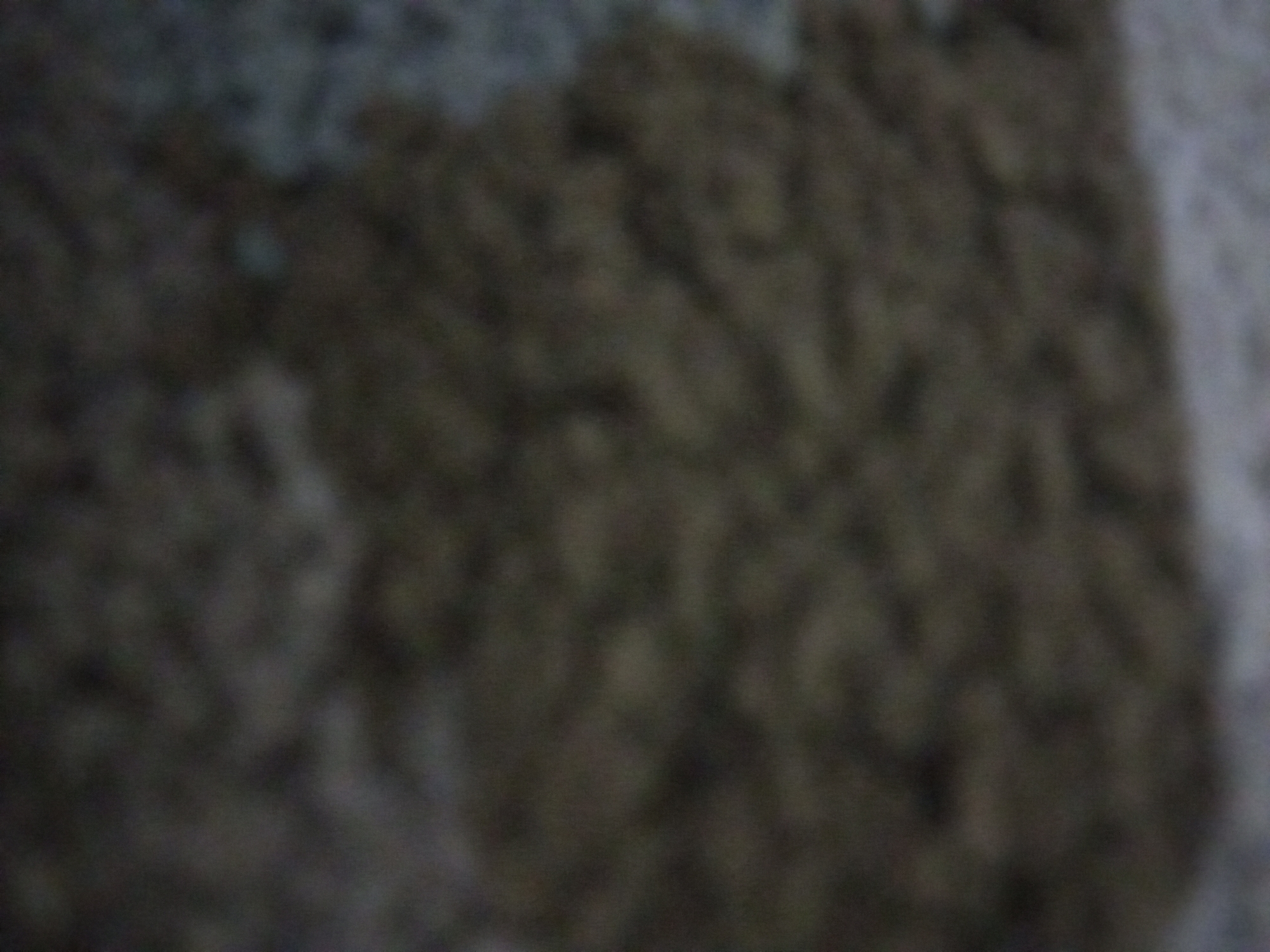 The image is a blurry, close-up view of a textured surface, possibly a rug or carpet. The dominant colors are dark browns and grays, with some lighter, almost white, areas. The texture appears to be fuzzy or shaggy, with uneven piles. There are no discernible objects, people, or actions visible due to the extreme blurriness of the image. The setting is entirely unclear, and it is impossible to determine any specific location, including within Lhokseumawe, Indonesia.