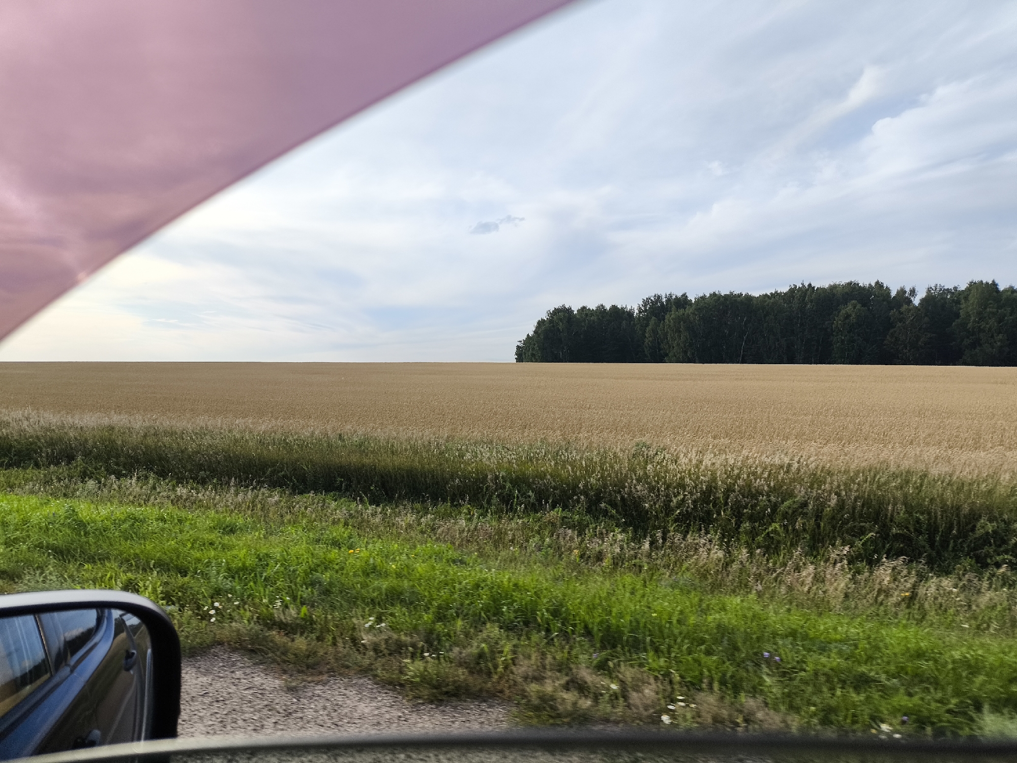 The image captures a landscape view from inside a vehicle, likely on a road near Станов ауылдық округі, Kazakhstan. In the foreground, a dark car mirror reflects a portion of the vehicle's interior and the exterior. The scene outside the window features a vast field of golden wheat stretching towards a dense line of dark green trees in the distance. A strip of vibrant green grass and other vegetation runs along the edge of the wheat field. Above, the sky is partly cloudy with white and gray clouds against a light blue background. A sliver of pink is visible in the upper left corner, possibly from a tinted window or an object obstructing the view. The overall impression is of a rural setting during the daytime.
