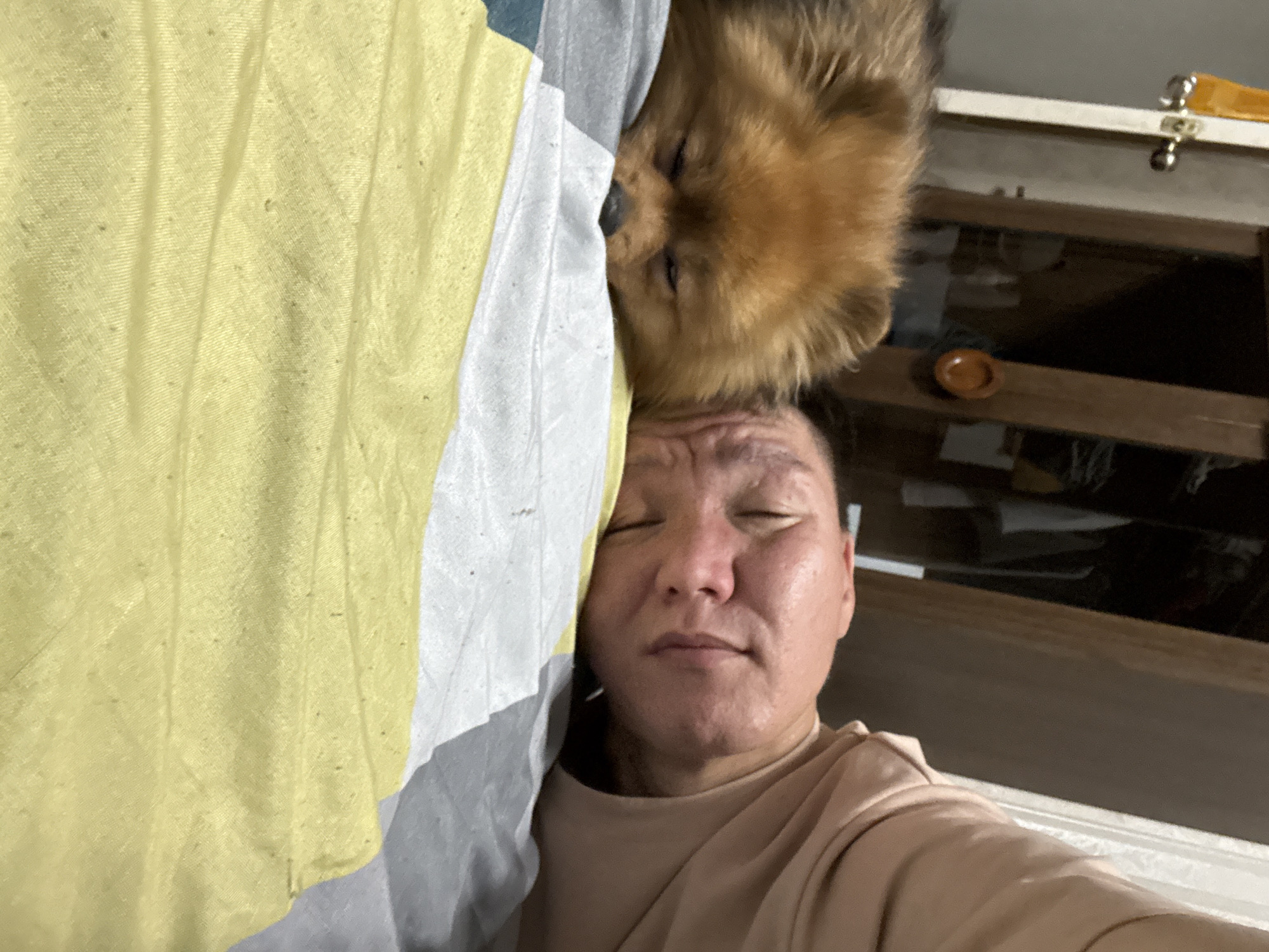 The image shows a close-up, overhead view of a person and a Pomeranian dog sleeping in what appears to be a bedroom. The person, lying on their right side, has their eyes closed and their head resting on a pillow. They are wearing a light-colored t-shirt. The dog, with its eyes closed, is nestled next to the person's head, also appearing to be asleep. The background shows a closet with clothes hanging inside and part of a wooden door frame. The bedding includes a yellow and white patterned sheet and a white pillow. The scene is likely indoors, in a residential setting, possibly in Khimki, Russia, given the context.
