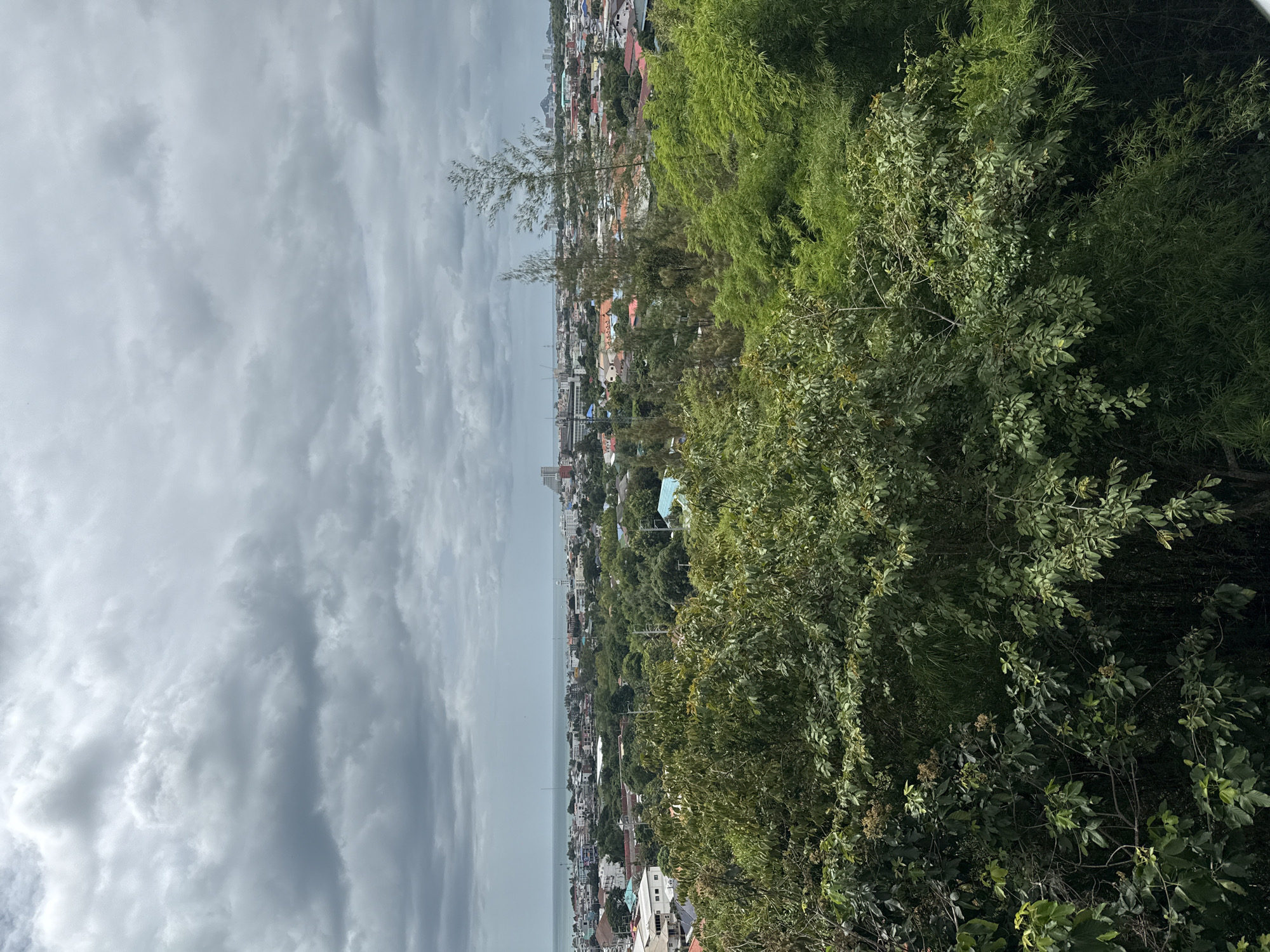 This is an eye-level, wide shot photograph taken from a natural vantage point overlooking a coastal city under a cloudy sky. In the foreground, dense green foliage, including various trees and bamboo, dominates the lower portion of the frame, obscuring the ground. Beyond the trees, a city stretches towards the ocean, characterized by a mix of low-rise buildings, residential homes with red tile roofs, and some taller structures. A distinct body of water, likely the Gulf of Thailand, is visible in the distance, meeting the horizon under a heavy, overcast sky filled with gray clouds. The overall impression is one of a city nestled between lush vegetation and the sea, observed on a typically cloudy day.