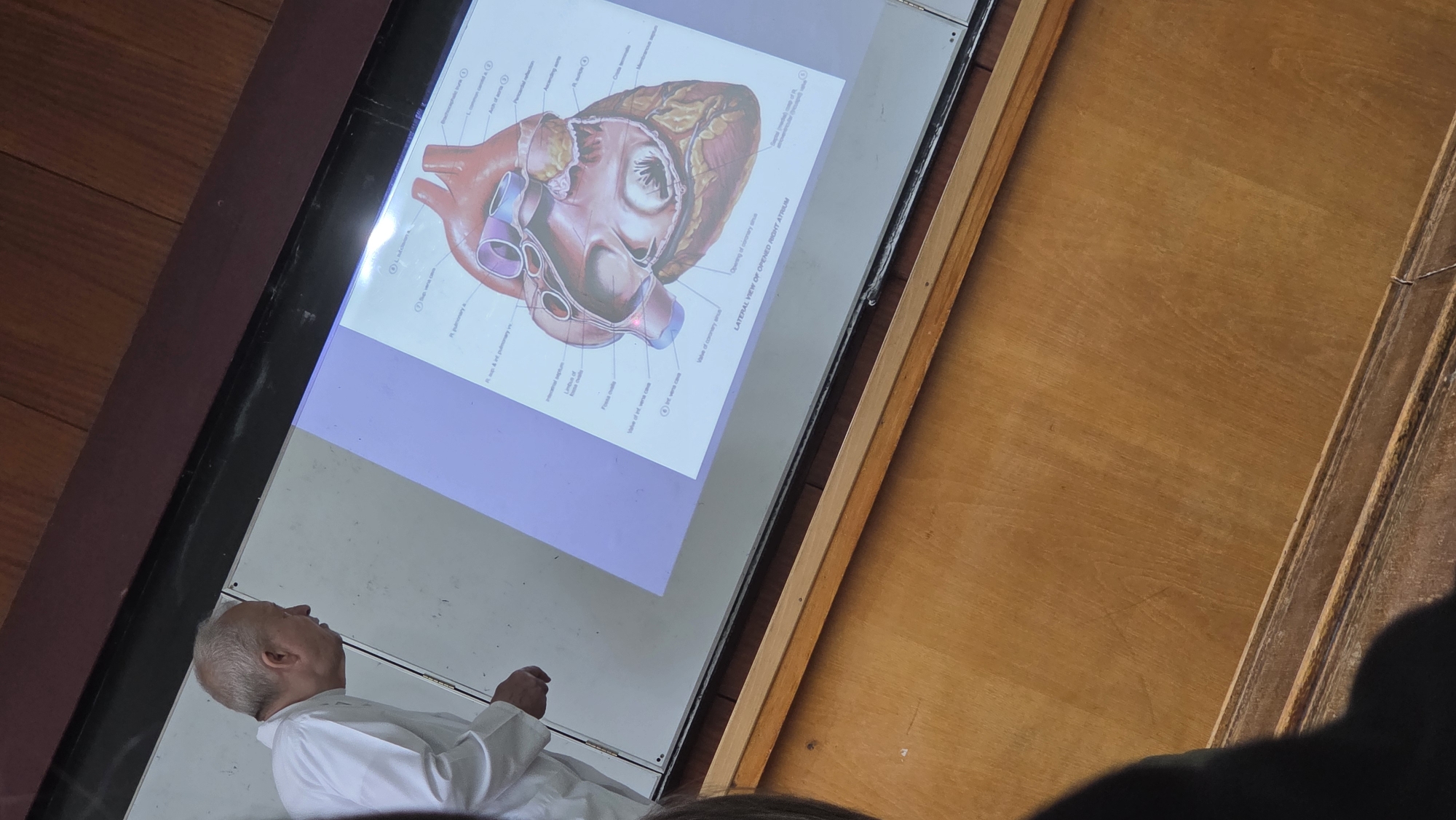 The image shows a classroom setting with a professor presenting a lesson on the anatomy of the human heart. The professor is wearing a white lab coat and appears to be pointing to a diagram of the heart projected onto a whiteboard or screen. The diagram details the various parts of the heart, including the atria, ventricles, valves, and major blood vessels. The classroom has wooden desks or paneling in the background. Parts of an audience can be seen in the foreground. No specific city or location is identifiable.