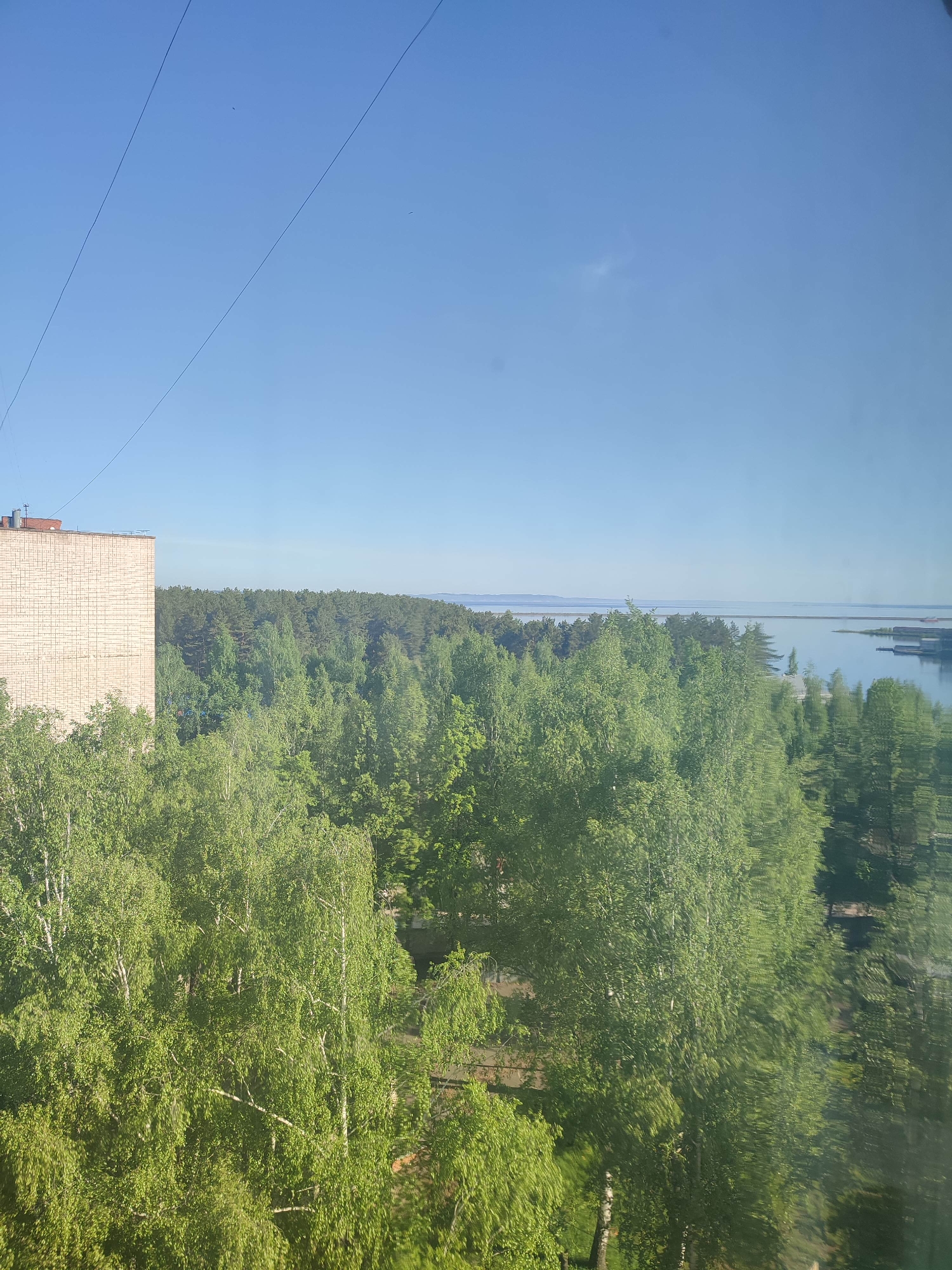 The image shows a view from an elevated position, possibly a high floor in a building. A portion of a brick building is visible on the left. The main focus is a dense forest of green trees filling the central part of the image. Beyond the trees, there is a body of water, possibly a lake or sea, with land visible on the far side. The sky is clear and blue. There are power lines in the upper left of the image. The location is a city of Unknown, Unknown.