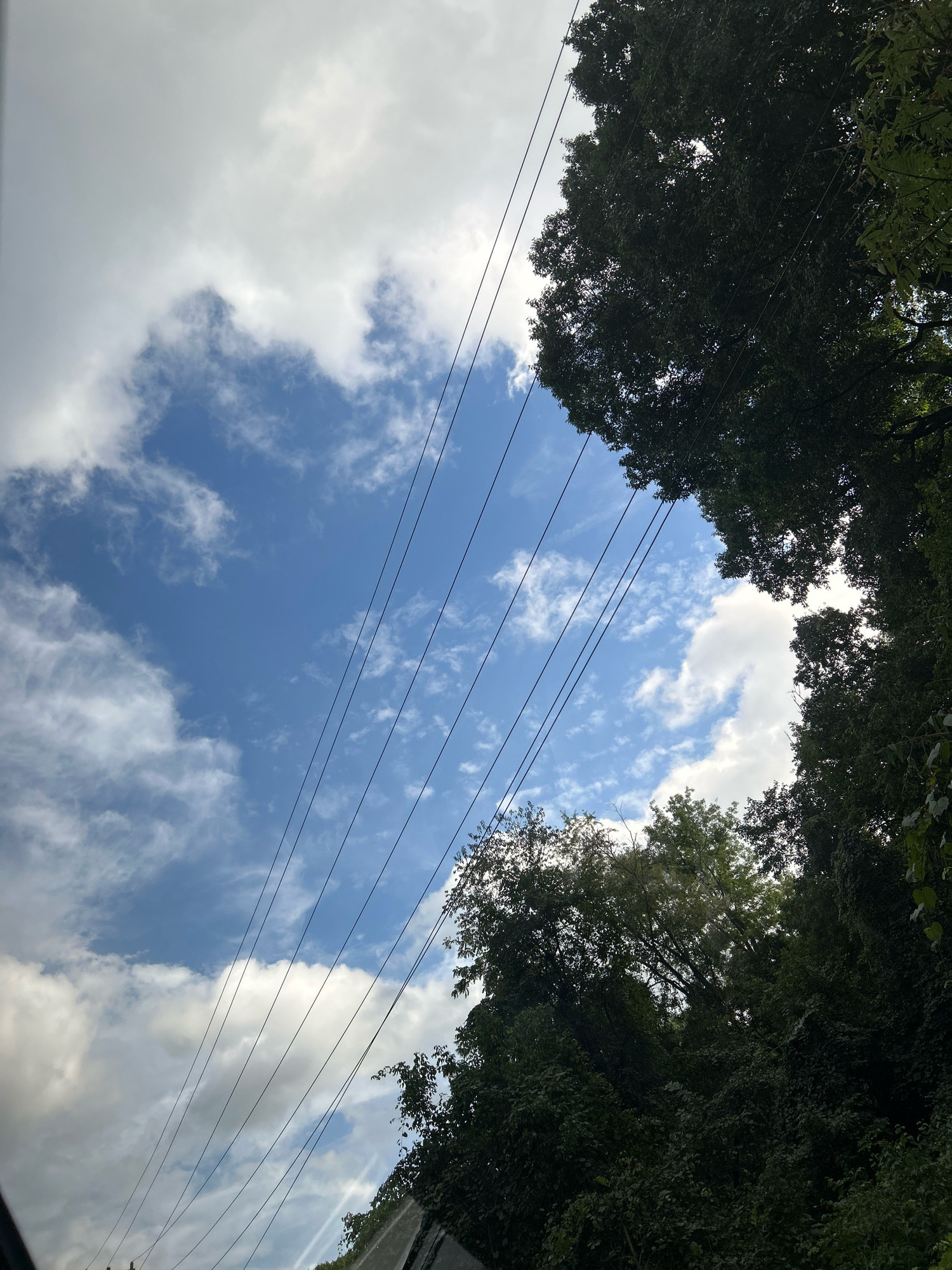 The image shows a view looking up at a cloudy blue sky, with several power lines crossing diagonally from the lower left to the upper right of the frame. Dense green trees line the right side and the lower portion of the image, obscuring the ground and creating a natural frame. The lighting suggests it is daytime, possibly overcast with intermittent sunlight. The perspective implies the photo was taken from a low vantage point, looking upward from beneath or between trees. The scene is characteristic of an urban or suburban setting where utility lines run through or alongside natural areas. The specific location in Pittsburgh, United States of America, cannot be determined from the visual information provided in the image alone.