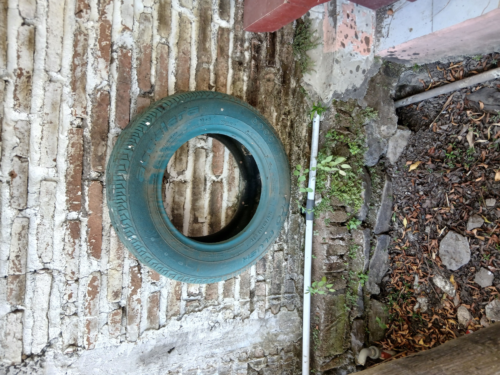 A teal-colored tire is mounted on a weathered brick wall. The wall exhibits chipped white paint over exposed red bricks, with areas of moss and dark discoloration. Below the tire, a white PVC pipe runs horizontally along the base of the wall, supported by rusty clamps. Small green plants sprout around the pipe and among the rocks and dried leaves covering the ground. To the right, a reddish-brown object, possibly a bench or planter, is partially visible against the wall. The scene appears to be an outdoor, possibly neglected, area.
