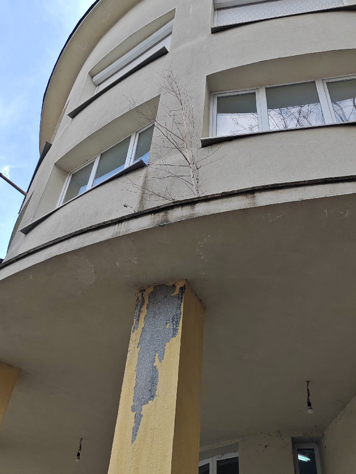 The image displays a low-angle exterior view of a multi-story building located in Sofia, Bulgaria. The architecture features a curved facade constructed of light beige stucco, showing signs of weathering including dirt and dark streaks, particularly along the underside of a prominent, curved balcony or overhang. Several rectangular windows with white frames are visible across at least two floors; some windows feature external roller shutters, while others reflect bare tree branches and a light blue, partly cloudy sky.
A slender, bare deciduous sapling, approximately 2-3 meters tall, grows directly from the curved balcony structure between two windows on an upper floor. Below the balcony, a large, rectangular support pillar, painted in a faded yellow hue, exhibits significant peeling paint, revealing a dark grey, textured substrate beneath. Two bare light bulbs, suspended by electrical cords, hang from the concrete underside of the balcony. A metal pole or conduit extends vertically along the far left edge of the frame. No people or active interactions are present in the scene, which depicts an urban environment.
