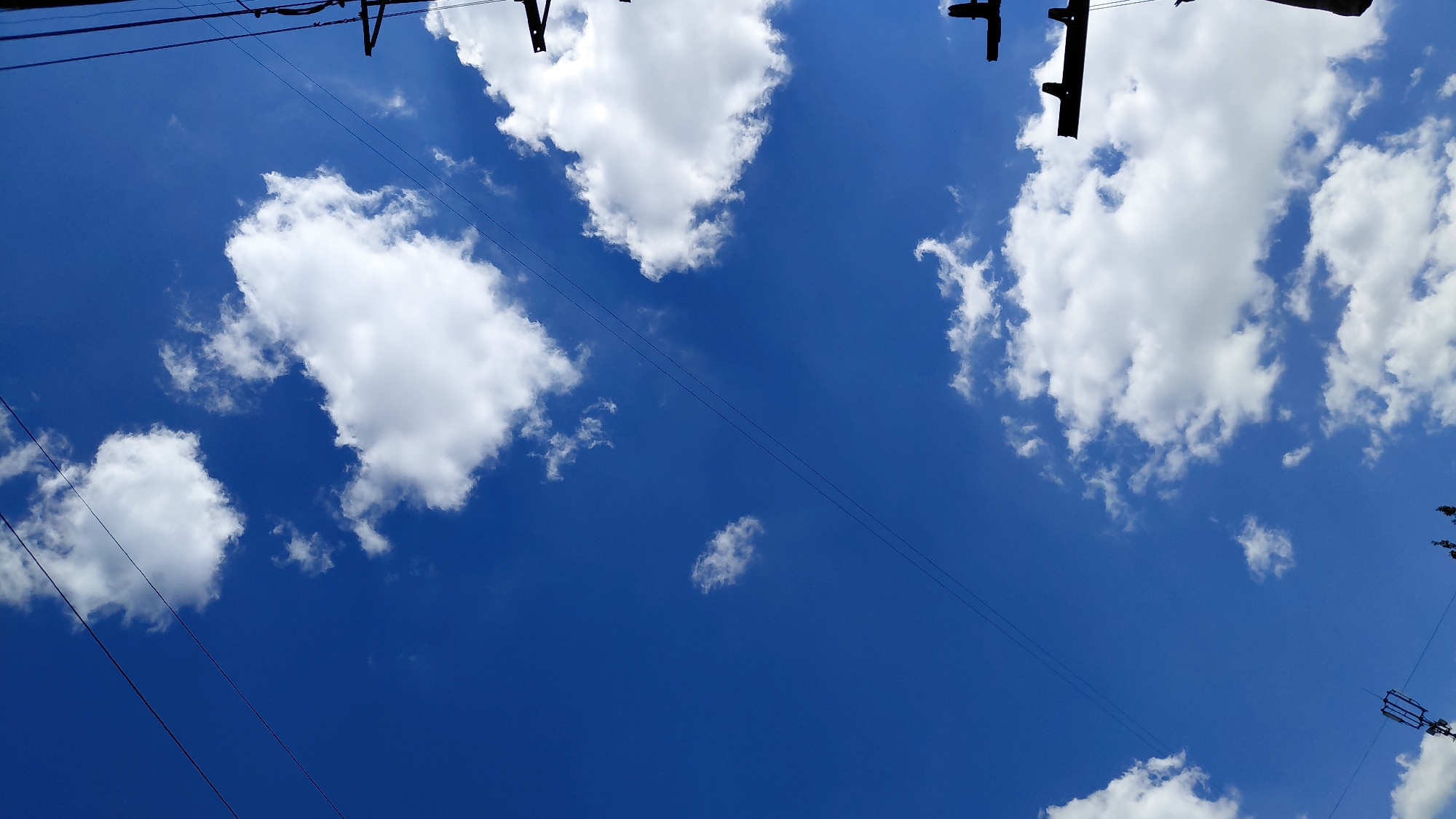 This is a low-angle, vertical shot of a bright blue sky with scattered white cumulus clouds. Two dark power lines stretch diagonally across the upper portion of the frame. In the upper right and middle right, parts of wooden utility poles with crossbars are visible, silhouetted against the sky. The bottom portion of the frame shows the very top of some dark tree foliage, and in the lower left, a small section of a utility pole with a grid-like structure at its top. The scene appears to be an outdoor urban or suburban environment. The image does not contain any people.