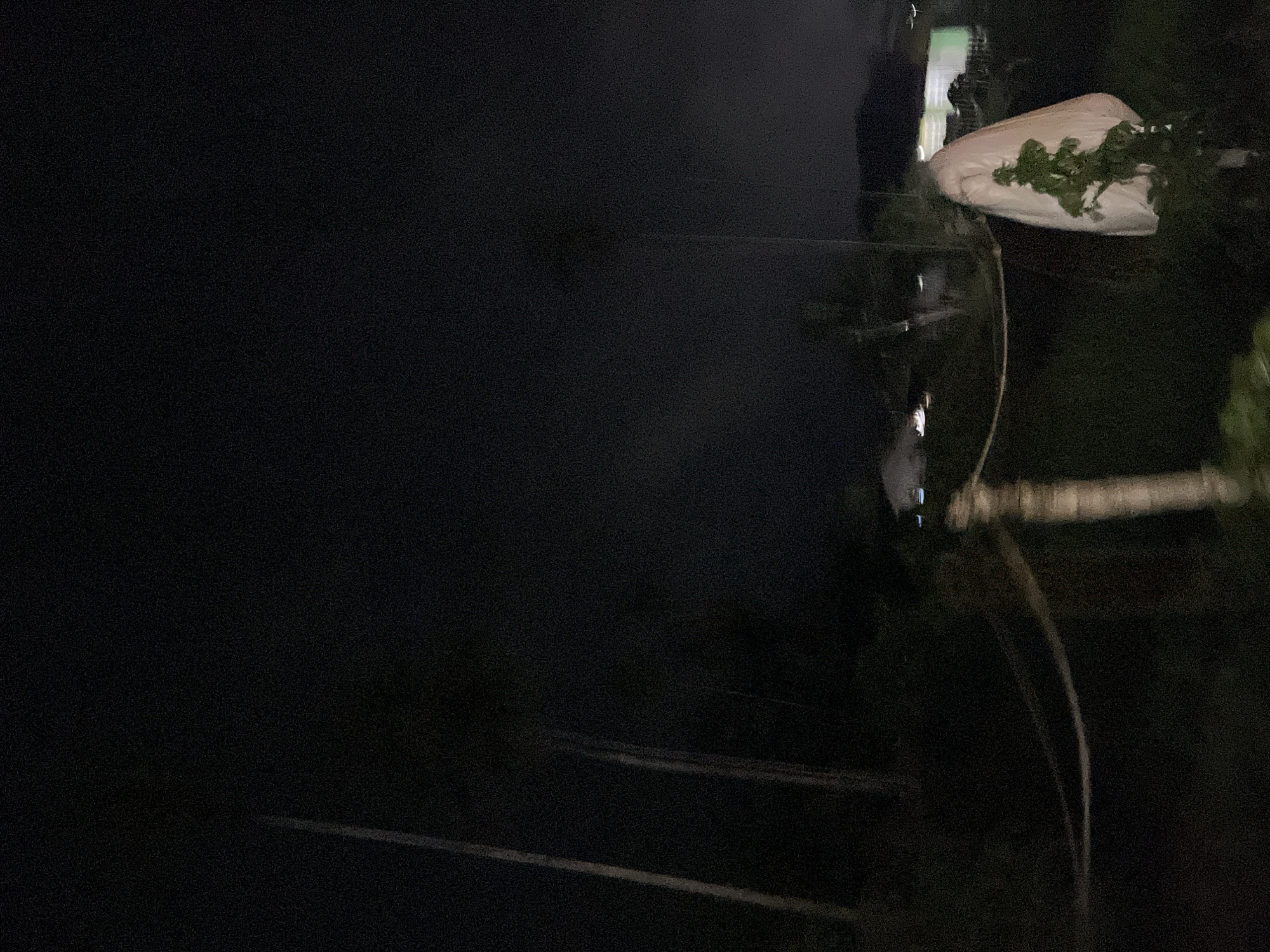 This is a nighttime photograph taken outdoors, likely in the city of Benuaraja, Indonesia. The scene is dark, with minimal illumination, possibly from artificial lights in the distance. In the foreground, there is a large, white tarp draped over a plant or structure, which casts a prominent shadow. A thin rope or wire runs horizontally across the frame, supported by what appears to be a wooden post. Behind this, dense vegetation is visible, characteristic of a garden or natural area. In the middle ground, several tall, thin structures, possibly trees or poles, are silhouetted against the dark sky. Further in the background, indistinct shapes suggest buildings or structures with faint, diffused lights. The overall atmosphere is dim and somewhat mysterious due to the low light conditions.