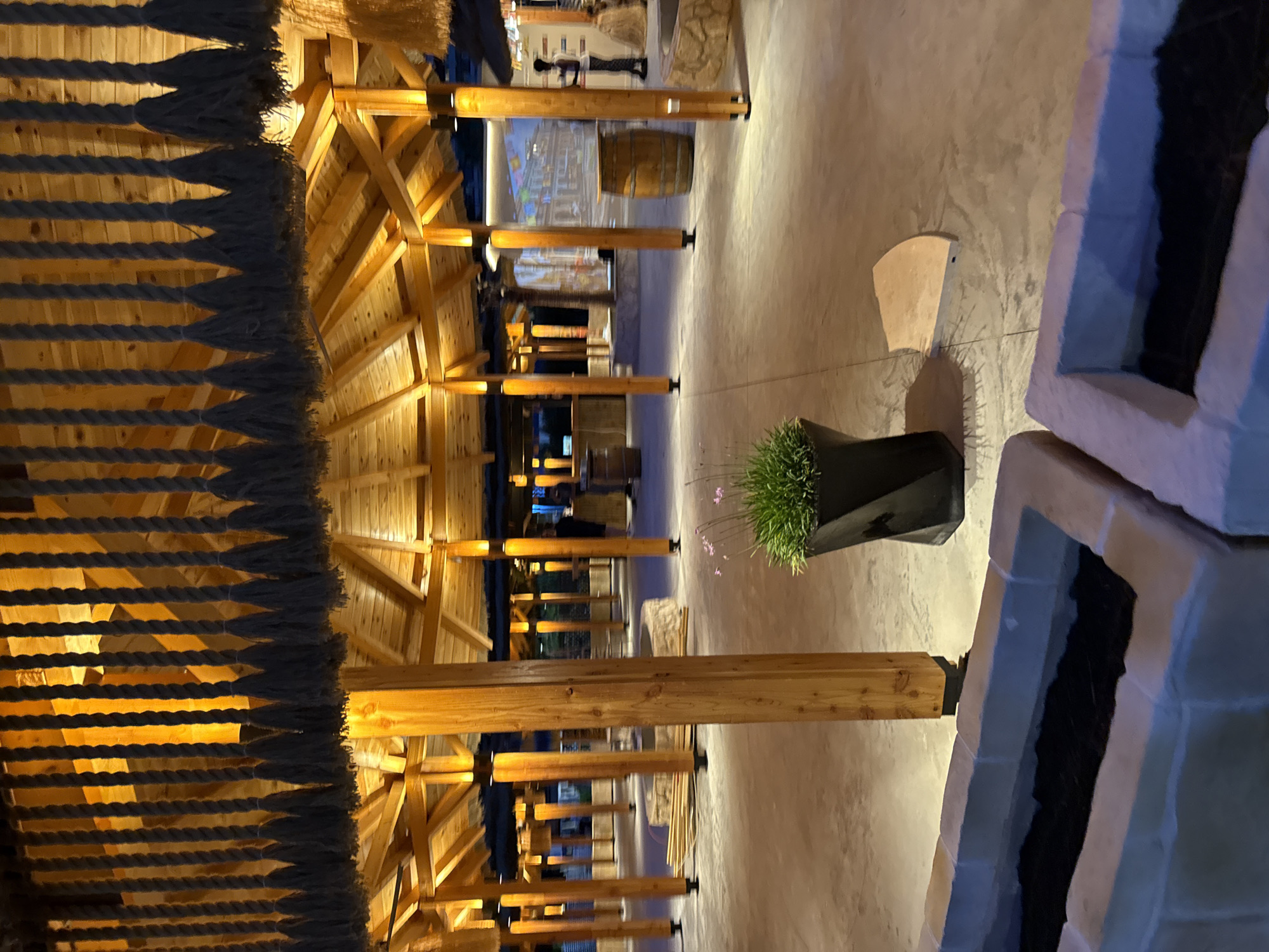 The image depicts an outdoor seating area, possibly a restaurant or bar, with a thatched roof supported by wooden columns. Hanging from the ceiling are decorative ropes with tassels. In the foreground, there are two rectangular planters filled with dark soil. A potted plant with green grass and small pink flowers sits on the concrete floor, casting a shadow. In the background, there are several wooden barrels and a projection of a city scene on a wall. Two individuals, one standing and one blurred, are visible in the distance. The area is lit by warm-toned lights, suggesting it is evening. The location is identified as Boreti, Montenegro.