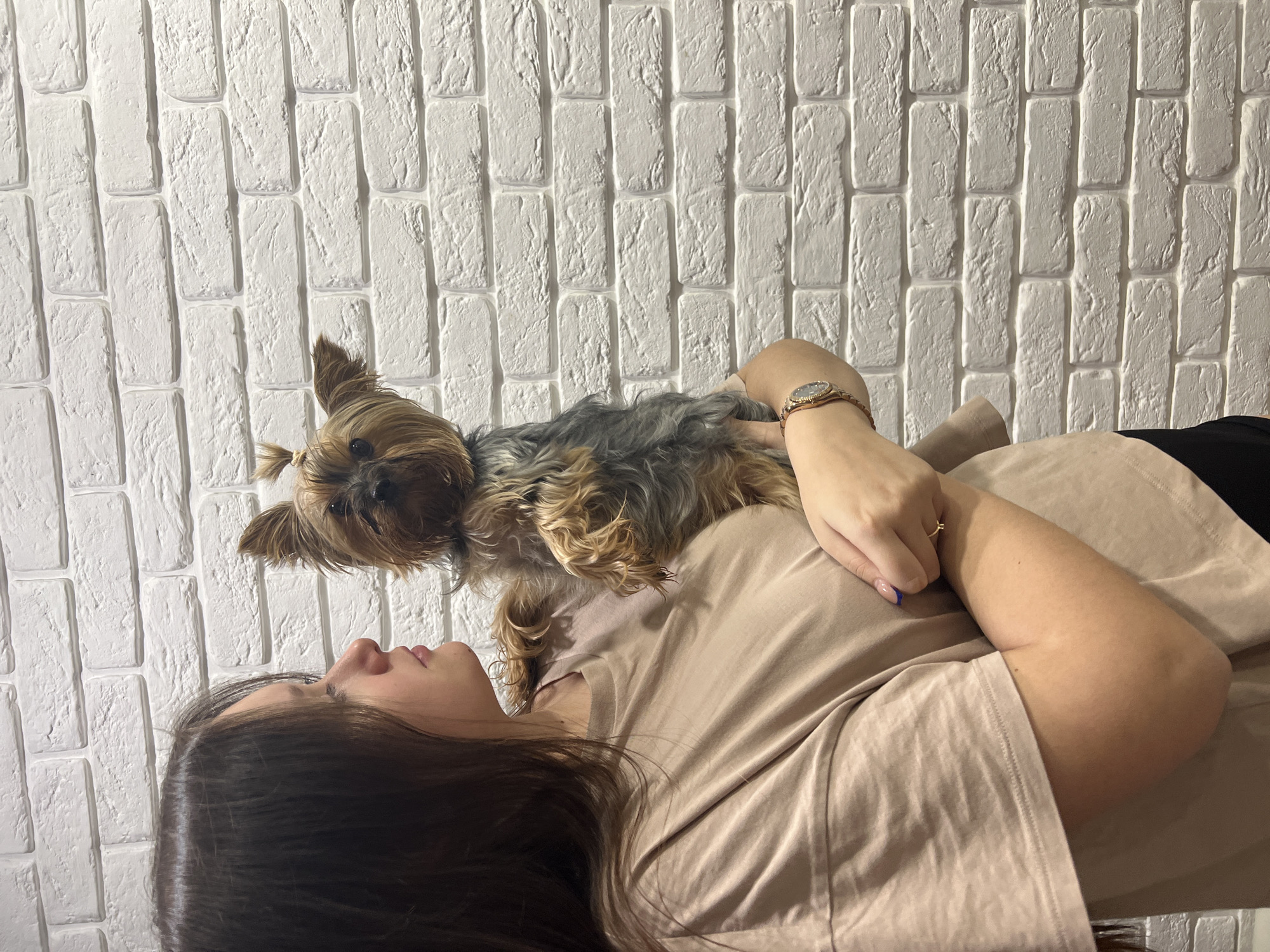 A woman is lying on her back wearing a beige t-shirt with a small Yorkshire terrier resting on her chest. The woman has long, dark hair and is looking to the side. She is wearing a watch on her left wrist. The background is a white brick wall. The location is the city of Chaikovsky, Russia.