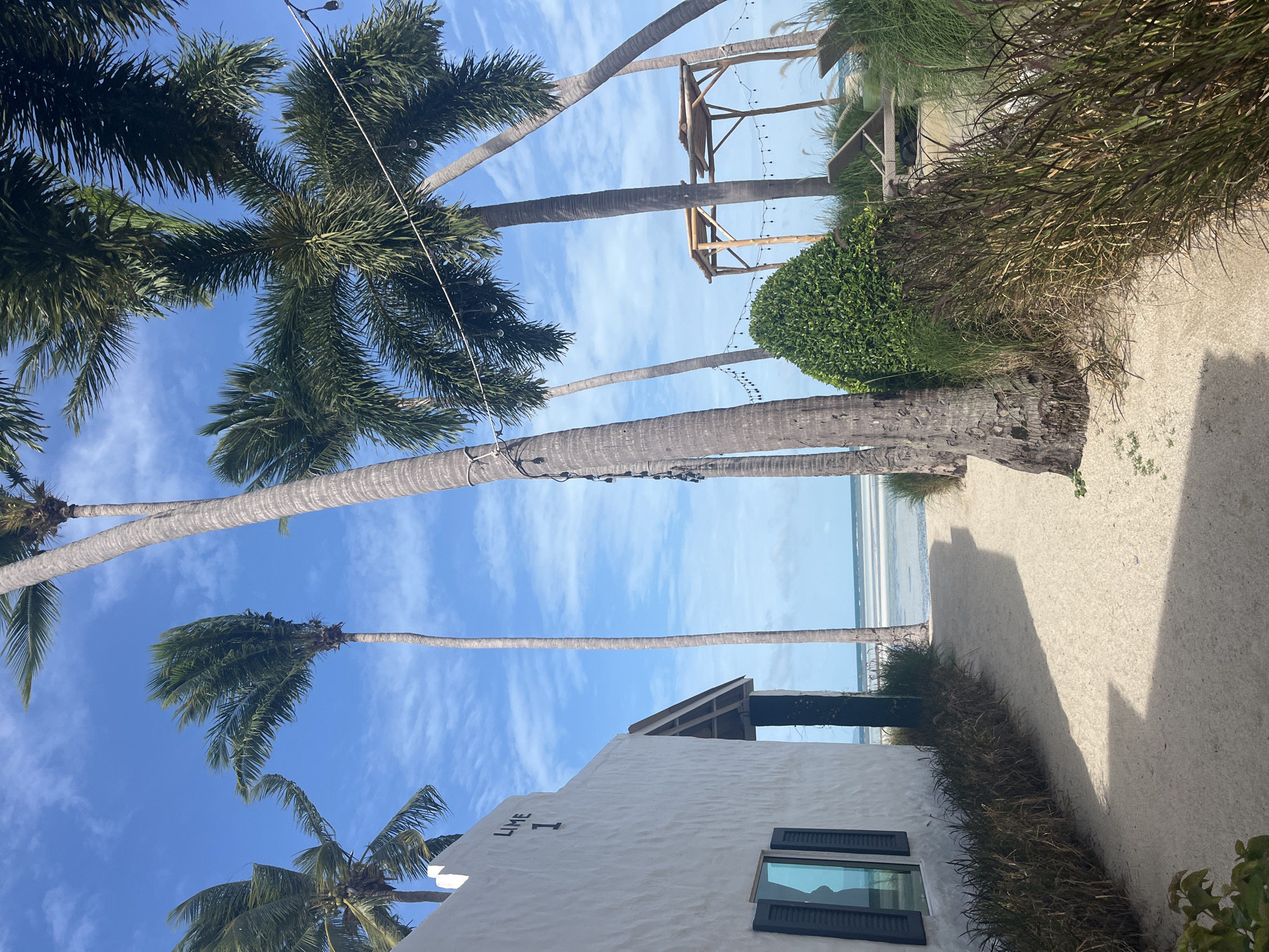 The image shows a pathway leading towards a beach in Thailand's Ko Pha-ngan District. On the left, a white building with "LIME 1" marked on its facade features a window with black shutters. Palm trees, some swaying in the wind, dominate the scene, casting shadows on the sandy path. In the background, the turquoise ocean meets a bright blue sky with scattered clouds. Two wooden gazebos and lounge chairs are visible near the beach, suggesting a resort or relaxation area. The vegetation consists of tall grasses and a manicured green shrub. There are no people visible in the image.