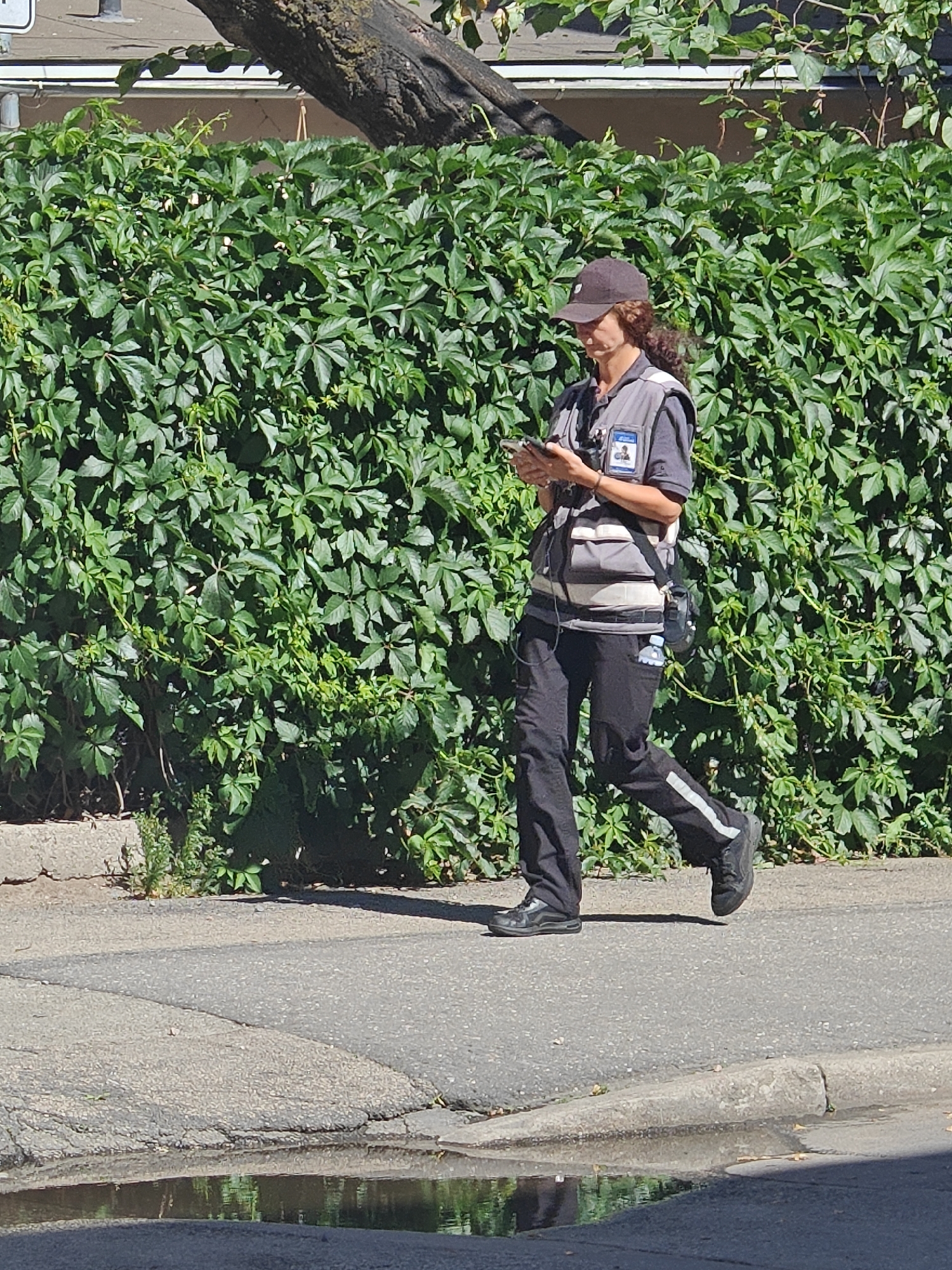 A person wearing a baseball cap and a grey vest with reflective stripes over a dark shirt and black pants walks down a paved path. The person is holding a mobile phone and appears to be looking at it. They have a small bag slung across their body and a water bottle attached to their belt. The background consists of a dense green hedge and a tree trunk. The ground in front of the path shows a large puddle reflecting the surrounding greenery. The lighting suggests it is daytime, likely sunny due to the sharp shadows. There is no visible text in the image.