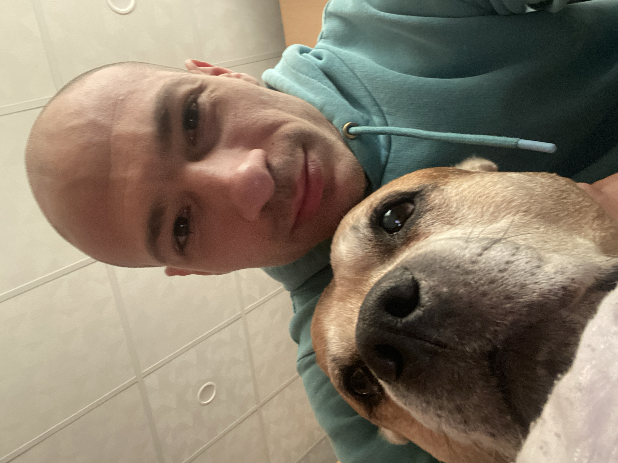 A selfie photograph shows a man with a shaved head wearing a light blue hoodie with the hood up. He is positioned close to the camera. The right side of the frame features the head of a brown dog with a dark muzzle. The man is looking at the camera with a slight smile. The background appears to be a room with white tiles or paneling. The location is not discernible from the image. There is no way to tell where this photo was taken in Pleven, Bulgaria.