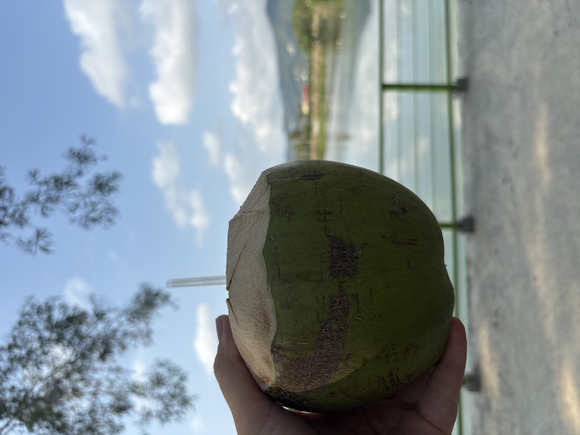 A hand holds a green coconut with a straw inserted, likely containing coconut water. The top of the coconut has been chopped off. In the background, there is a blurry view of a lake or body of water and what appears to be the coastline, potentially in the city of บ้านบางรักษ์, Thailand, based on the prompt. There is also a green railing partially visible. Above and to the left of the coconut is a view of a blue sky with white clouds and foliage from a tree. The scene is taken during the daytime.