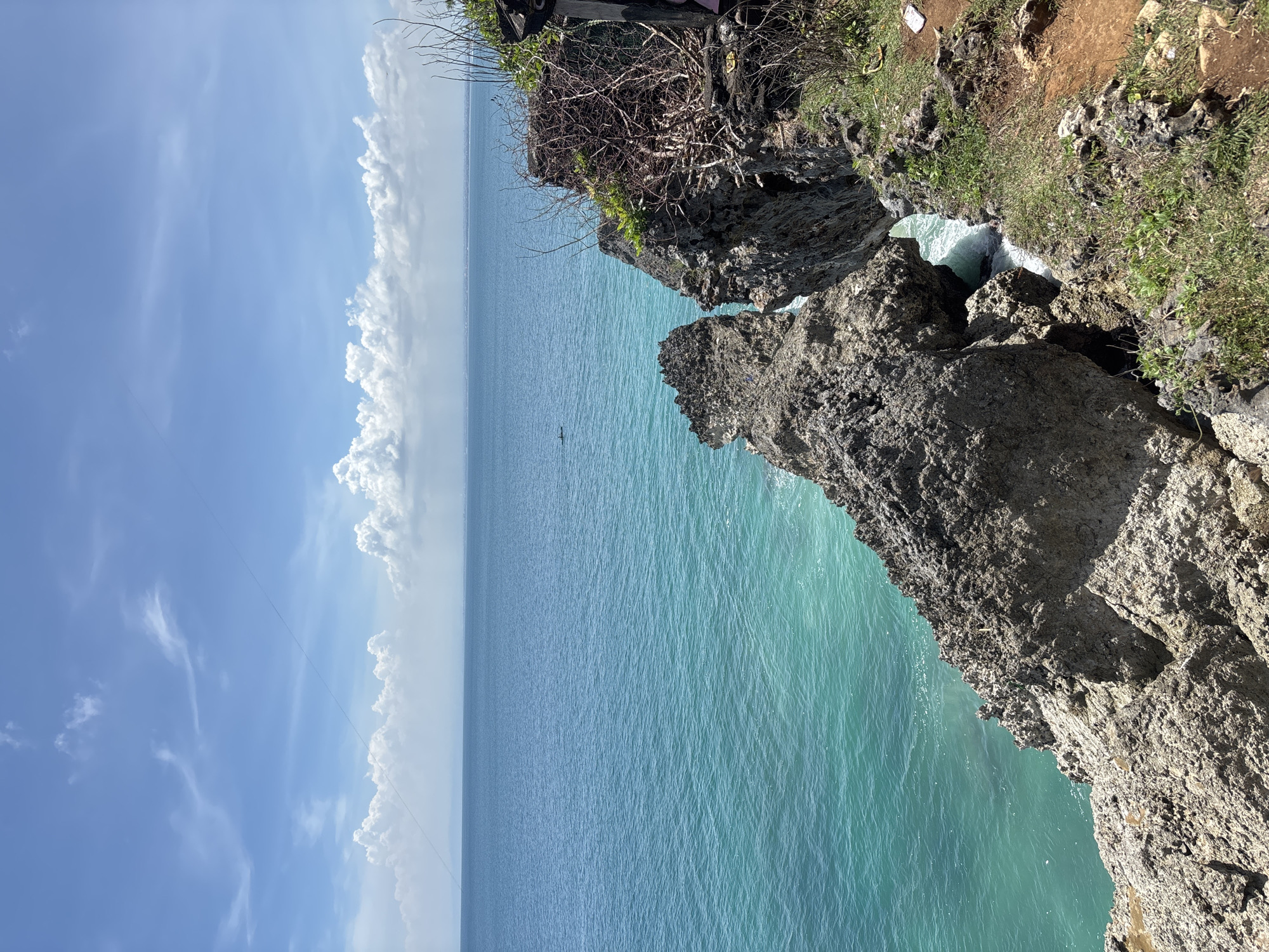 The image shows a coastal scene in Unknown, Indonesia, featuring a rugged, rocky cliff edge overlooking a turquoise ocean. Patches of green vegetation and brown soil are visible on the cliff. The ocean extends to the horizon under a blue sky with white clouds. A small bird is seen in the water.