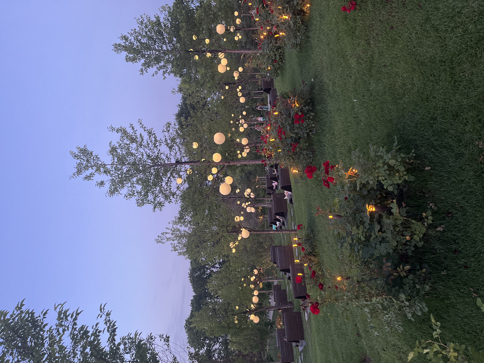 The image depicts an outdoor seating area in a park or garden at dusk. The scene is illuminated by numerous spherical white paper lanterns strung between trees, casting a soft glow. Red roses are in bloom along the edge of the grassy area, interspersed with small, warm-toned lights. Several dark wooden benches are arranged in rows facing a central pathway. In the background, people are seated on some of the benches, suggesting a social gathering or a relaxed evening atmosphere. The sky is a clear, pale blue, transitioning to a deeper twilight hue, indicating it is likely early evening. The overall impression is one of a peaceful and aesthetically pleasing outdoor space designed for evening enjoyment.