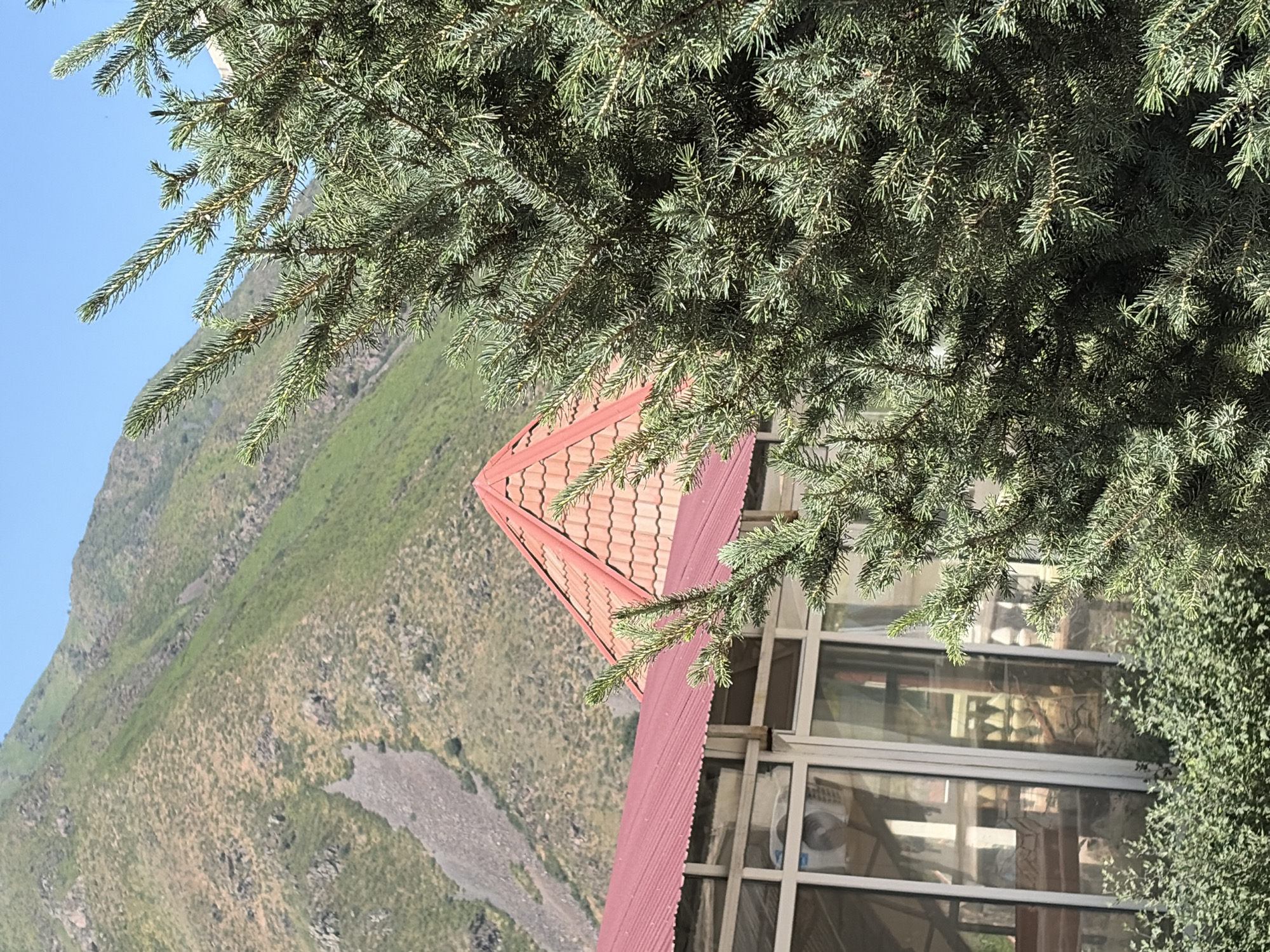 An outdoor, eye-level, medium shot captures a building with a red, tiled, pyramid-shaped roof and a red, corrugated metal roof, partially obscured by a dense evergreen tree. The building features large windows and a white structure that appears to be an air conditioning unit visible through the glass. The background is a steep, grassy mountain slope with a clear blue sky above. The location is unknown.