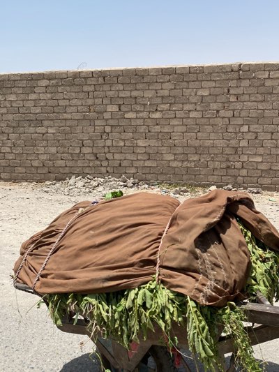A close-up shot in Sard-E 'olya, Afghanistan shows a wooden cart piled high with green leafy vegetation, covered by a brown cloth secured with rope. Behind the cart, a gray brick wall stretches across the background under a pale blue sky. The scene appears to be outdoors, on a paved surface.