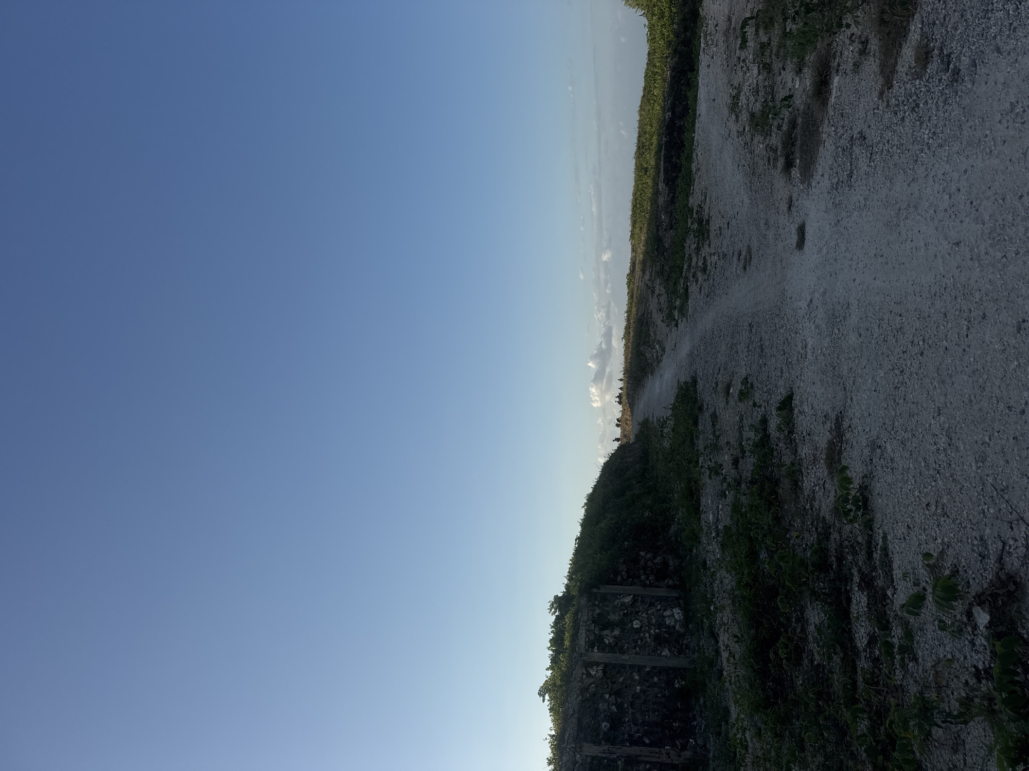 The image depicts a dirt road winding through a hilly, vegetated landscape under a clear blue sky. The road appears to be a pathway or trail, with scattered stones and gravel. To the left of the road, there is a low wall constructed of rough, irregular stones, partially covered by dense green foliage. Further along the road, several silhouetted figures are visible in the distance, appearing to be walking or standing. The terrain is uneven, with patches of dry grass and low-lying vegetation growing alongside the path. In the far distance, a hazy horizon suggests the presence of clouds or possibly the sea. The overall scene suggests an outdoor, possibly rural or undeveloped, location. The lighting indicates it is either early morning or late afternoon.
