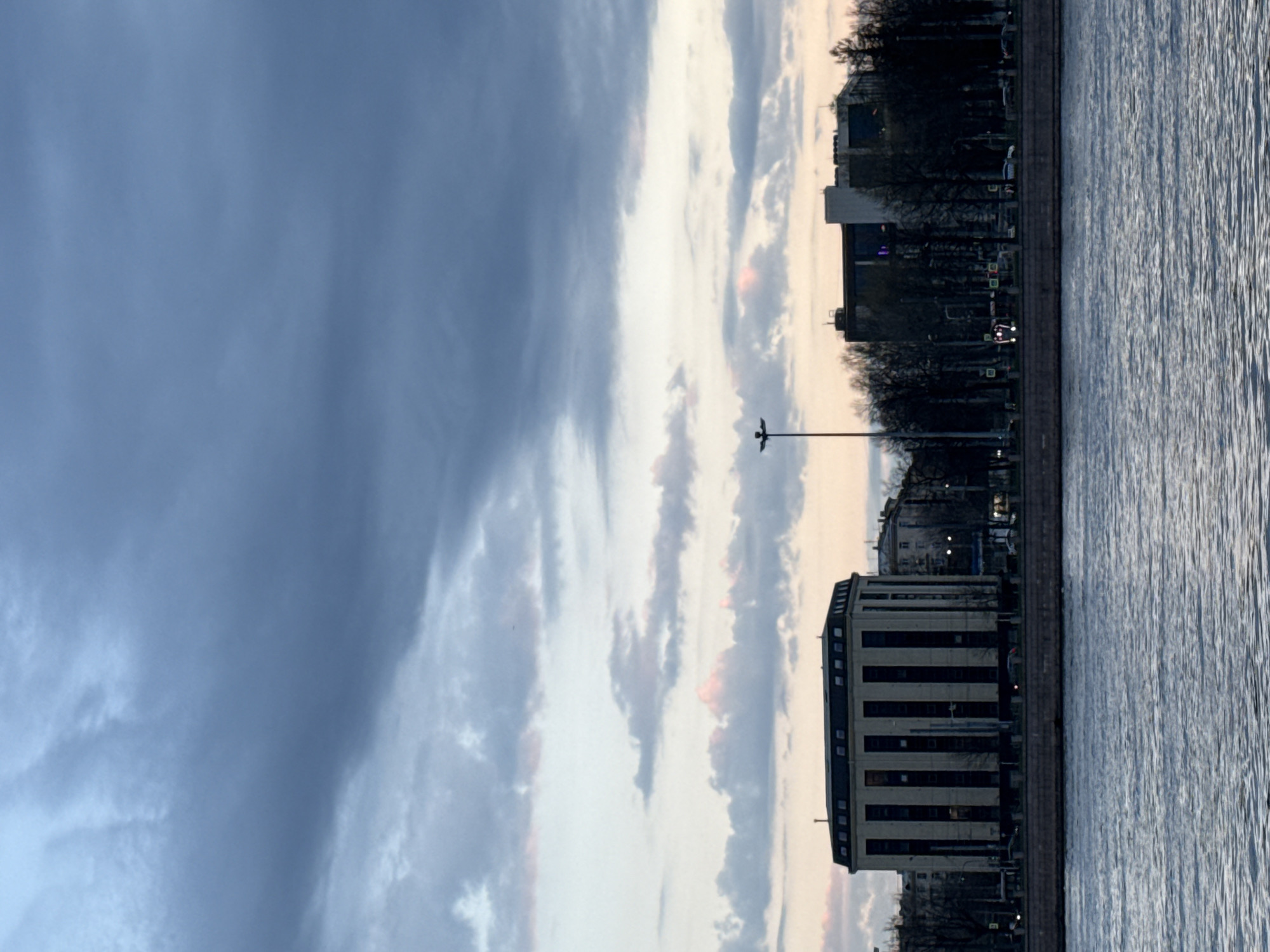 The image captures a serene urban waterfront scene, likely along a river or canal, at either dawn or dusk in Saint Petersburg, Russia. The composition is horizontally divided between the dramatic sky, the city's embankment, and a tranquil body of water.
The sky, occupying the upper portion, features a dynamic array of clouds. Towards the left, dark blue-grey clouds suggest a heavy, possibly overcast condition, gradually transitioning to lighter, streaky clouds with soft hints of pink and orange towards the right, indicative of low sun angles.
The city's embankment stretches across the mid-ground. It is lined with dark, bare trees, characteristic of late autumn, winter, or early spring. Several buildings are visible behind the trees; a prominent light-colored building on the right features distinct dark, vertical architectural elements or windows. Further along the embankment, other darker buildings and faint streetlights or vehicle lights punctuate the urban landscape. A tall, slender lamppost, possibly adorned with a bird-like figure or a silhouette of a bird, stands out against the sky, roughly in the middle of the frame.
The lower half of the image is filled by the body of water, which appears calm with subtle ripples and textures on its surface, reflecting the muted light of the sky.
No explicit human activity is visible, contributing to the tranquil and somewhat melancholic atmosphere of the scene. There is no legible text visible on any of the buildings or objects.