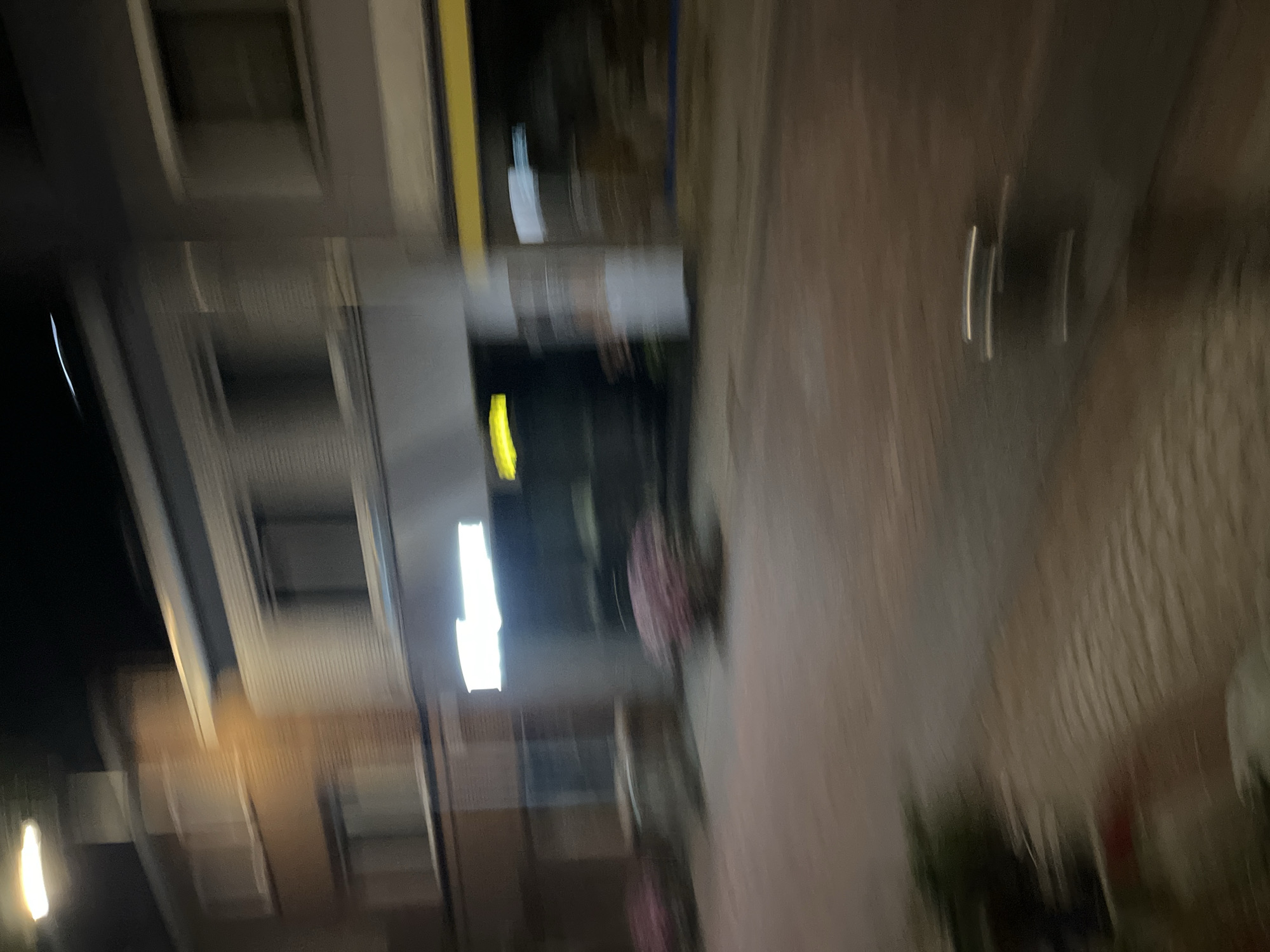 The image depicts a blurry night-time street scene, likely in Saint-Vith, Belgium, due to motion blur. In the background, there are buildings with windows, suggesting a commercial or residential area. A brightly lit sign is visible above a shop entrance, with a yellow horizontal element to its right. In the middle ground, two round, bushy plants with pinkish flowers are present on the paved street. The foreground shows a blurred pavement and some greenery on the left side. The overall impression is that of a moving vehicle capturing the scene.