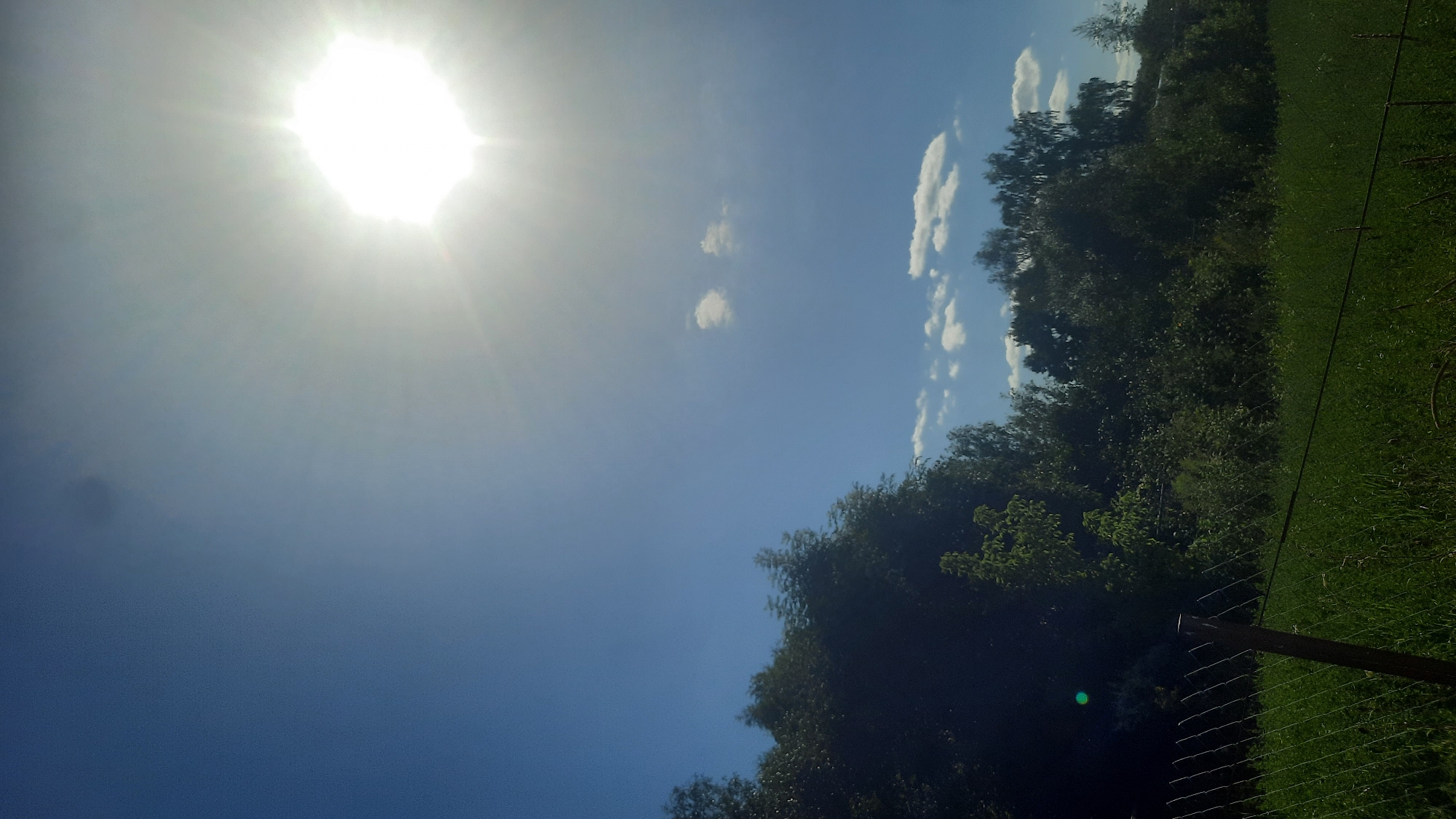 The image depicts an outdoor scene under a bright, sunny sky with the sun prominently visible in the upper right quadrant. The sky transitions from a deep blue on the left to a hazy white near the sun. There are a few scattered white clouds in the sky.
In the foreground, there is a grassy field with a wire fence running horizontally across the bottom portion of the image. A wooden post is visible to the left of the frame, supporting the fence. The grass appears lush and green.
Behind the fence, a dense line of trees forms the middle ground. The trees are a mix of deciduous and possibly some coniferous varieties, with various shades of green foliage. The trees obscure the landscape beyond them, though hints of a slightly elevated terrain can be inferred.
There are no people or animals visible in the image. The scene is static and appears to be a natural landscape or park area. The lighting suggests it is daytime, likely midday or afternoon, given the intensity of the sun.
While the prompt mentions the city of Шклоў, Belarus, there are no specific landmarks or contextual elements within the image that definitively place it in that location. The scene is generic enough to be found in many rural or semi-rural areas with similar vegetation and sky conditions.