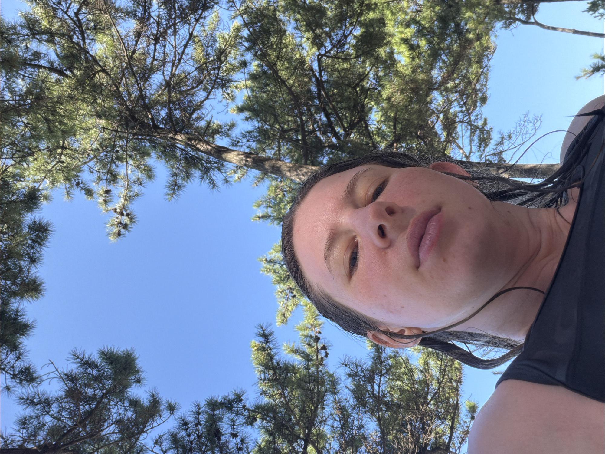 The image is a low-angle selfie taken outdoors. A person's face, partially obscured by wet hair and looking upwards, is the central focus. The background consists of a clear blue sky with large pine trees framing the upper portion of the image. The person appears to be wearing a dark-colored top. The environment suggests a park or natural setting, possibly near a beach given the location of Gangneung-si, South Korea, known for its coastline and pine forests.