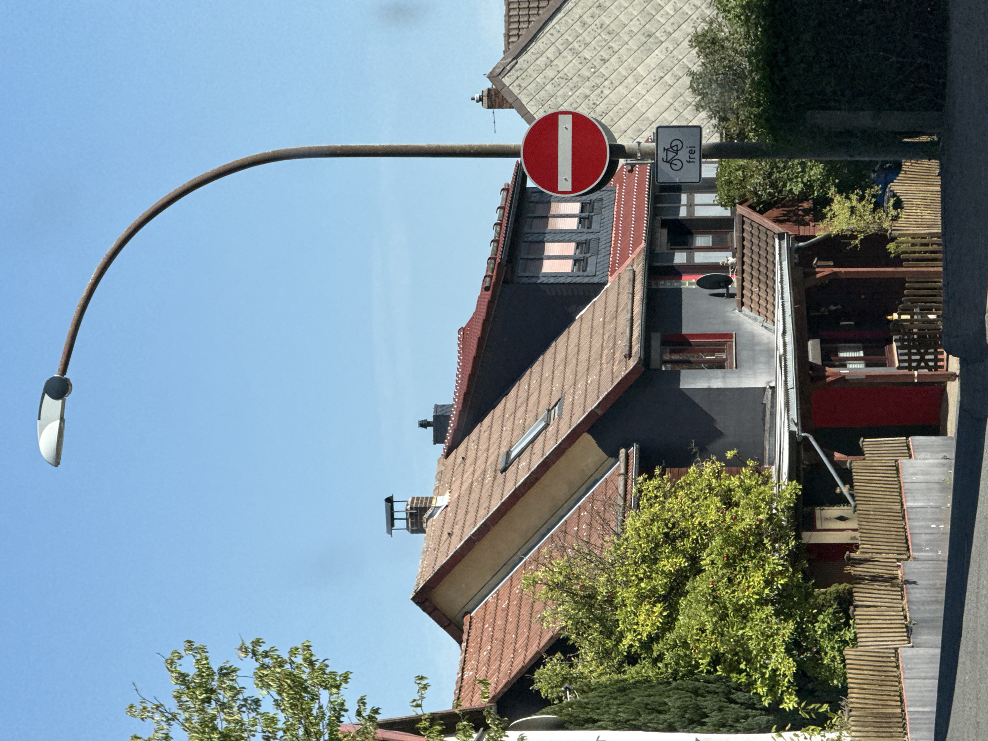 The image shows a street scene in the city of Bad Sachsa, Germany, on a clear day. A tall streetlamp with a curved arm arches over the scene. In the foreground, a paved road is visible, with shadows cast by unseen objects. A wooden fence with vertical slats runs along the edge of a property, behind which are houses with red-tiled roofs. One house is dark gray with red window frames, while another has a lighter, textured facade. A small sign depicting a bicycle and the word "frei" (free) is attached to the streetlamp post, indicating that cycling is permitted. A red circular sign with a white horizontal bar, indicating "no entry" for vehicles, is also mounted on the same post. Lush green trees and foliage are present, with one tree in particular bearing small red fruits. The sky is a clear, bright blue.