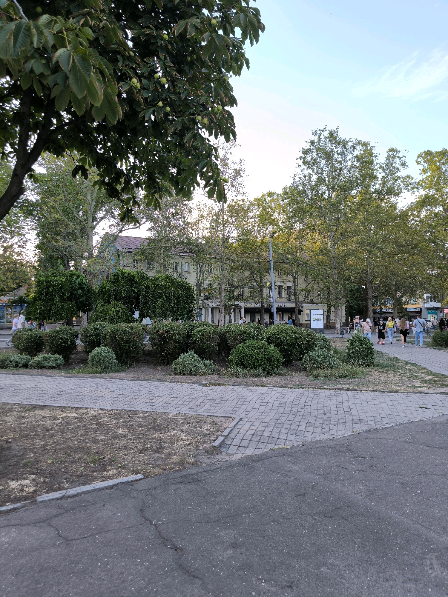 The image shows a street scene in Mykolaiv, Ukraine. In the foreground, there is a paved walkway and a patch of dry grass. Beyond this, a manicured garden with various shrubs and trees is visible, separating the walkway from a building in the background. This building appears to be a multi-story structure with storefronts on the ground floor, featuring signage and awnings. Several people are walking on the sidewalk in front of the building. Large trees with lush green foliage are scattered throughout the scene, with one prominent tree on the left side of the image featuring green leaves and some developing fruit. The sky is a clear blue with a few wispy clouds. The overall impression is a public space in a city, likely a pedestrian area with shops and trees.