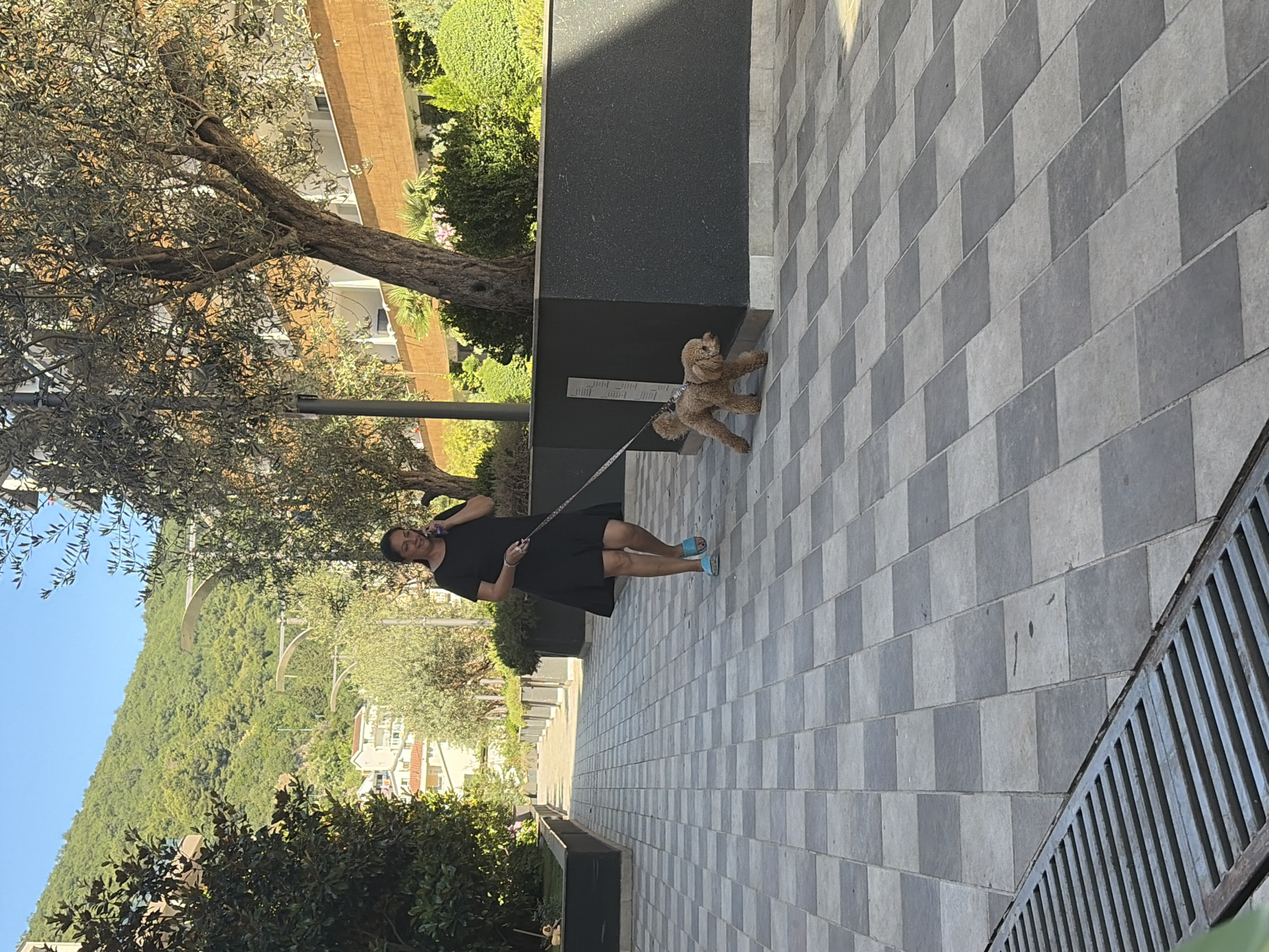 A woman in a black dress is walking a small, tan dog on a leash on a checkered paved pathway. She is on her phone, holding it to her ear. The dog is facing to the right. In the background, there are trees, a building with balconies, and a lush green mountain under a clear blue sky. The scene appears to be a residential area or a resort in Budva, Montenegro, with modern landscaping and architecture.