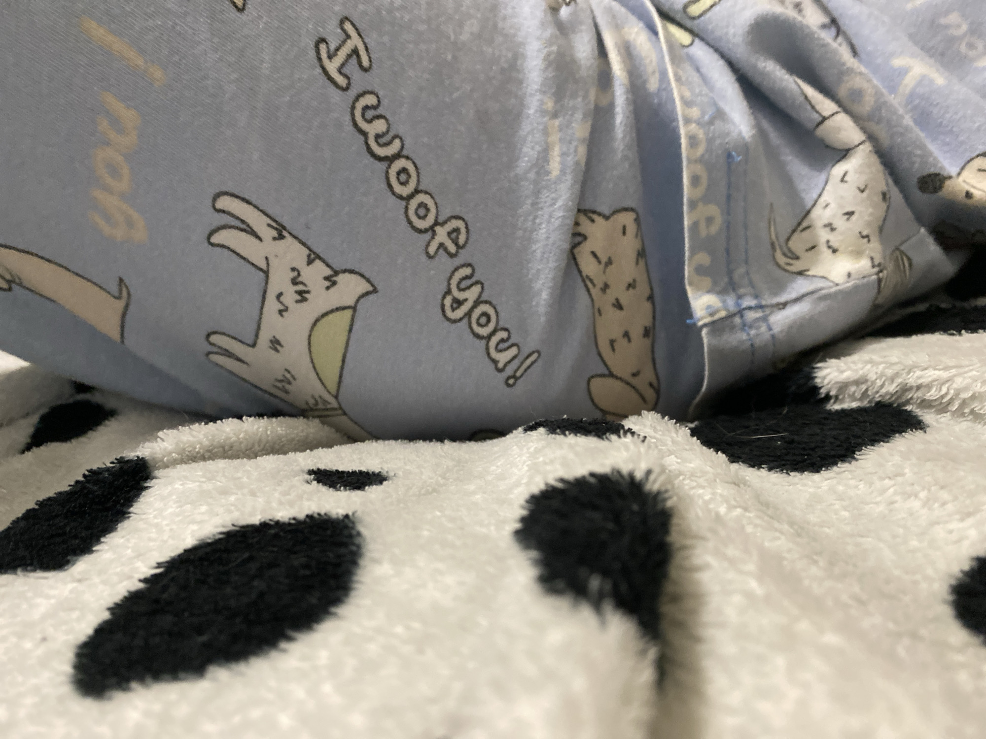 A close-up, low-angle, indoor shot shows a portion of blue pajamas with cartoon dogs and text on a person's leg, resting on a fluffy white blanket with black polka dots. The text on the pajamas reads "I woof you!". The pajamas are creased and folded. The blanket is soft and textured. The background is out of focus.