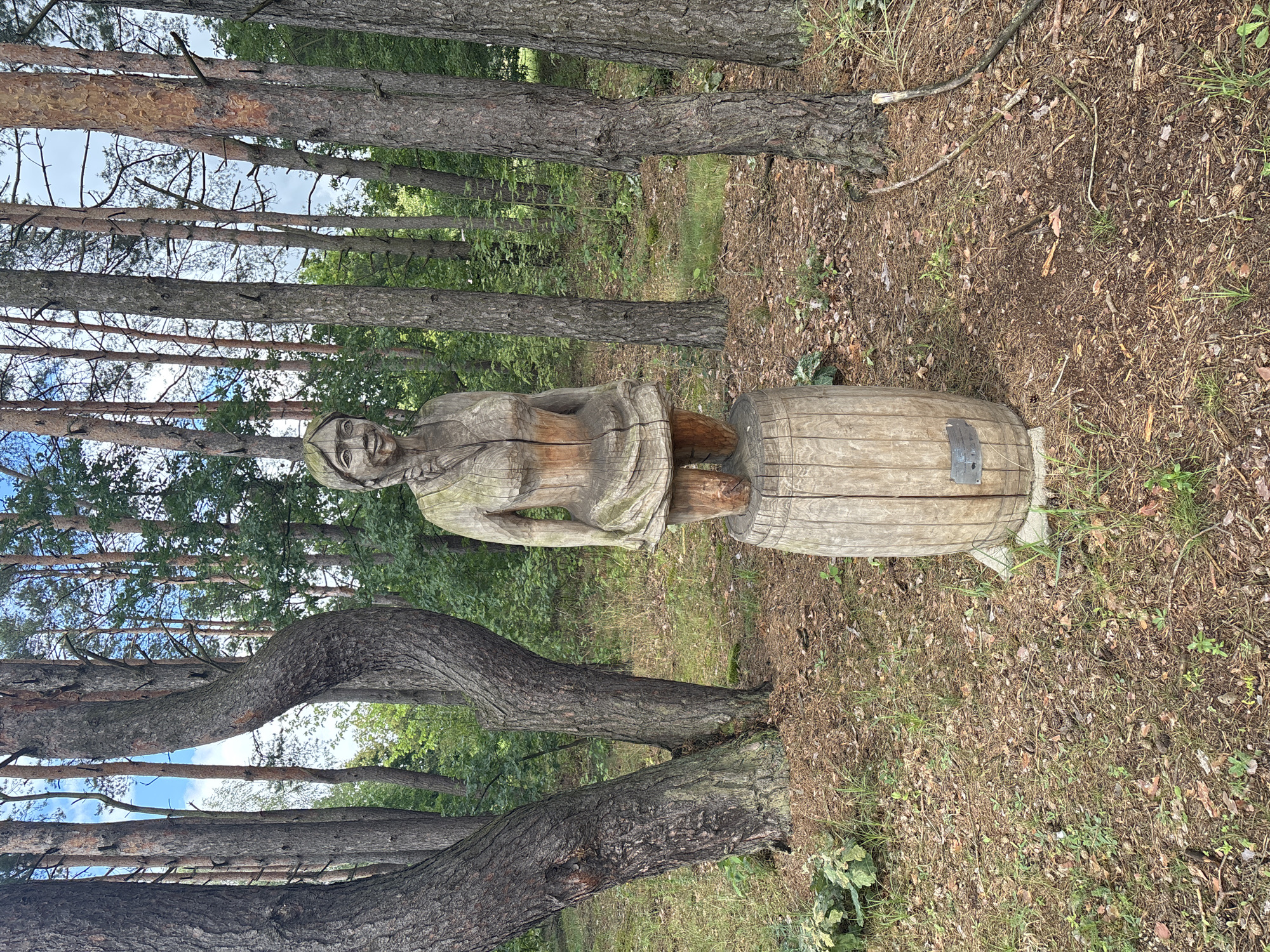 A wooden sculpture of a woman stands on a barrel in a forest. The sculpture is made of carved wood, depicting a woman with braided hair, a smiling face, and a dress. She is mounted on a wooden barrel, which is placed on a concrete base. The background is a forest with tall pine trees and lush green foliage. The ground is covered with pine needles, dry leaves, and some sparse grass. The sky is visible through the trees, with some clouds. The location is identified as Sielachowskie, Poland.