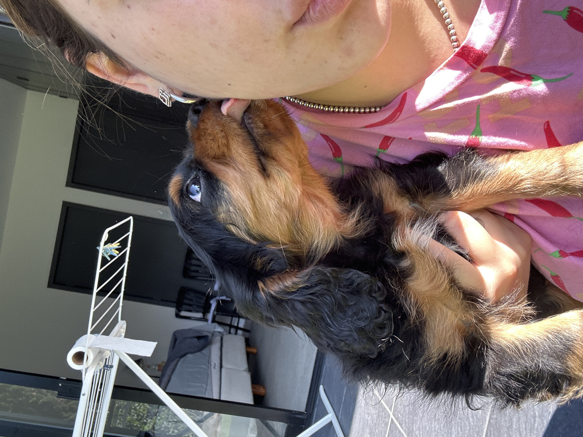 A close-up, angled shot features a person holding a Cavalier King Charles Spaniel puppy. The puppy is licking the person's face. The person is wearing a pink shirt patterned with red chili peppers and a silver beaded necklace. A silver earring is visible. The environment is a patio or deck area with a glass railing. In the background, there is a white clothes drying rack and a blurred view through a window. The location is indicated as Puebla, Mexico, although there are no specific visual cues in the image to confirm this.