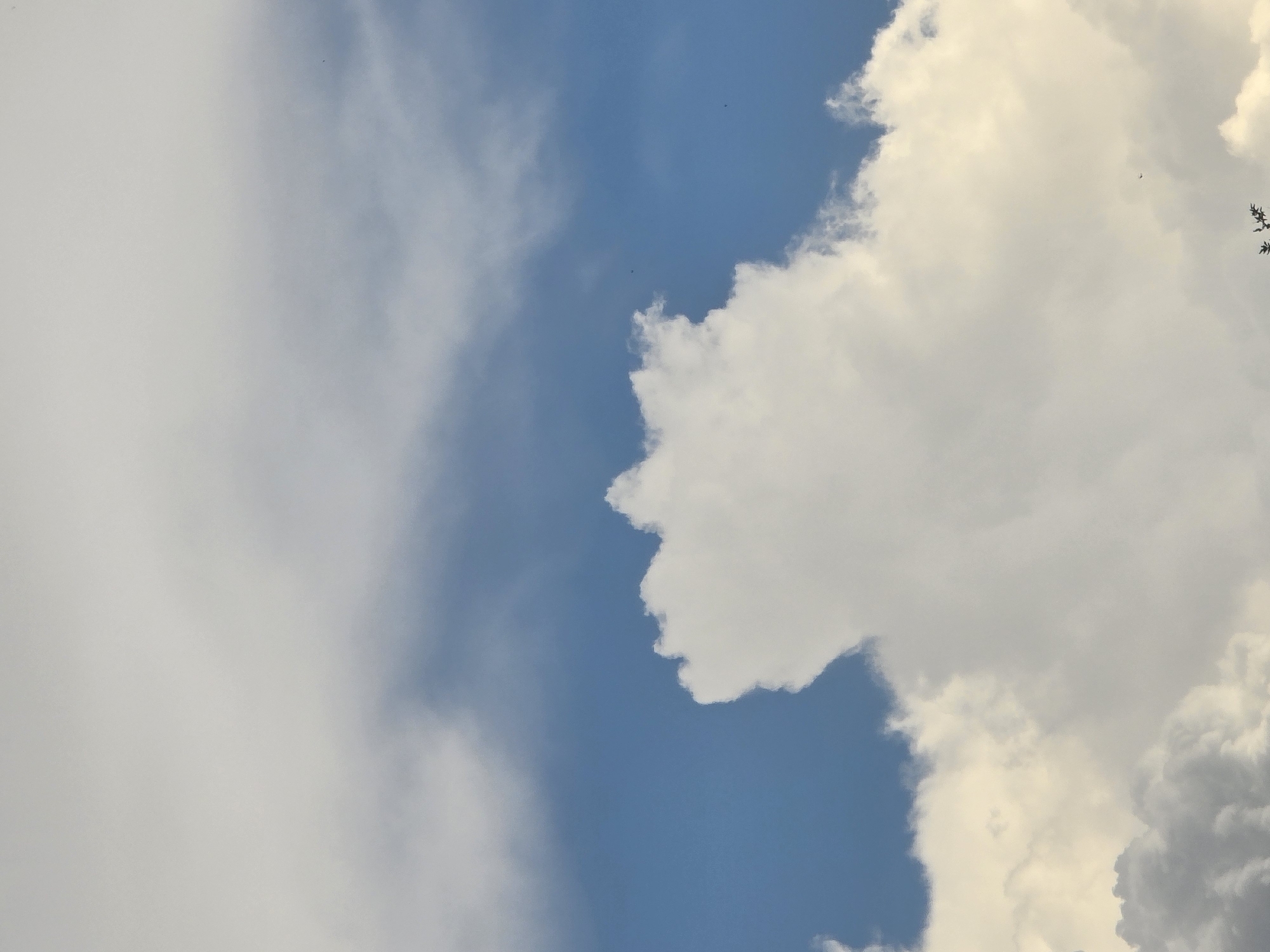 This is a close-up, high-angle, vertical outdoor photograph of a cloudy sky. The dominant features are cumulus clouds in various stages of formation, with a clear blue sky visible in the upper middle portion of the image. The clouds range in color from bright white to a light yellow, with some darker, gray tones towards the bottom of the frame, suggesting a greater density or depth. The lighting indicates it is likely daytime. There are no discernable people, structures, or specific landmarks visible that would indicate a location within the city of Plovdiv, Bulgaria. The scene is purely a natural skyscape.