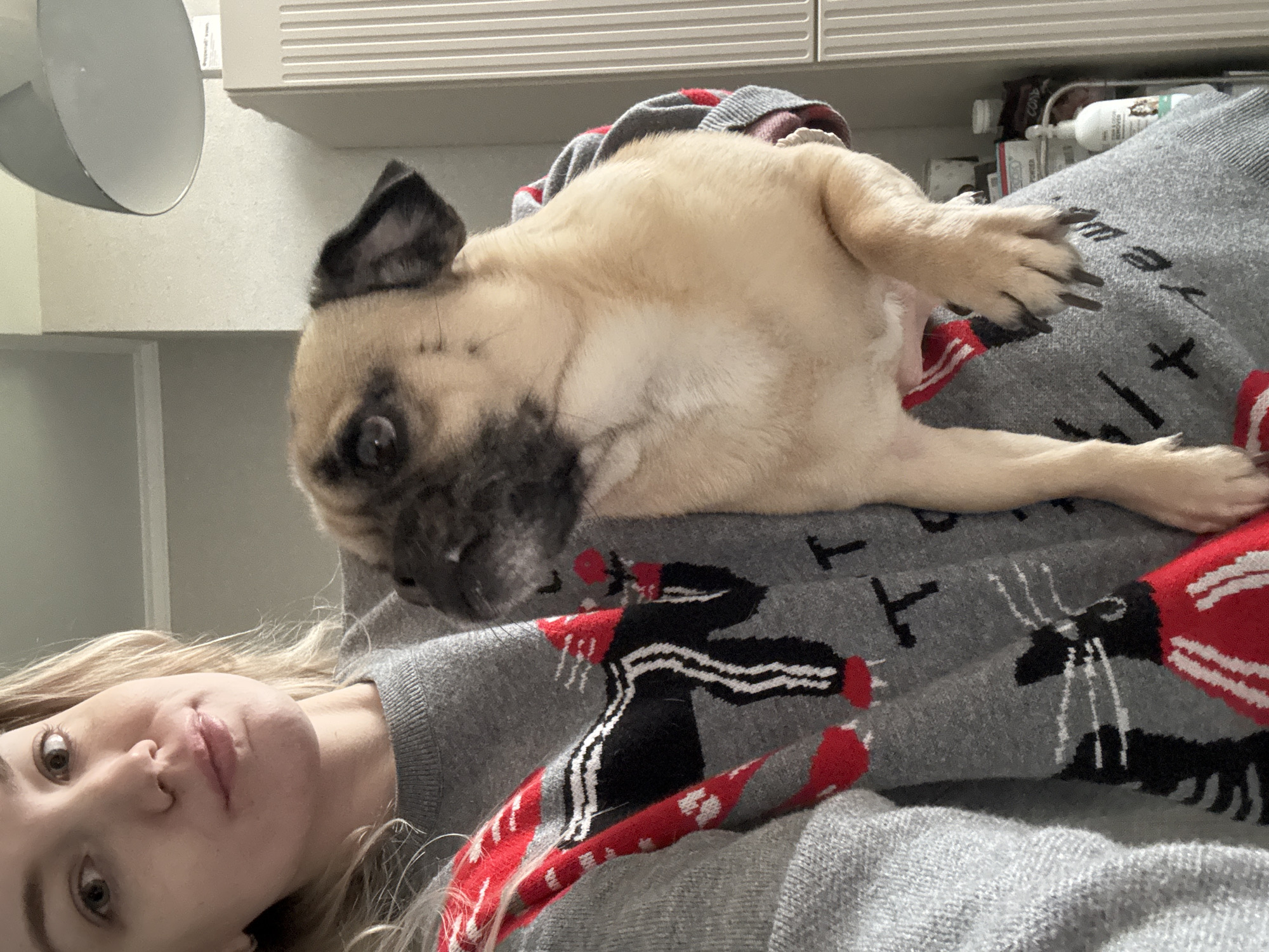 A woman lies on her back wearing a gray sweater with a ski themed pattern. A pug rests on her chest. The background appears to be an interior space with a light fixture and what may be medical supplies visible. There is no evidence to place this image in the city of Krasnodar, Russia.