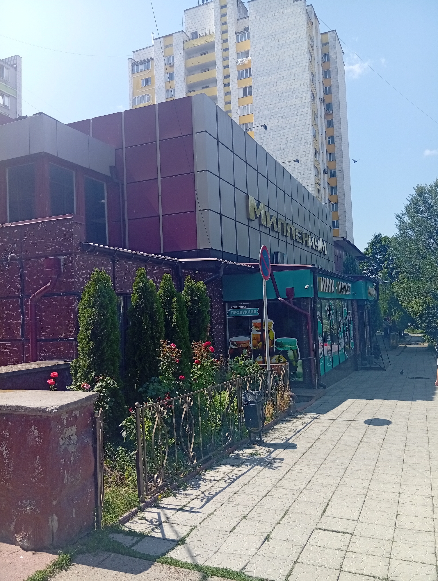 The image depicts a street scene in the city of Rybnitsa, Moldova, under a clear blue sky. In the foreground, a paved sidewalk runs alongside a building with a distinctive facade. The building features a textured red lower section and a modern, multi-colored upper section with large, geometric panels. Above the ground floor, a sign in golden Cyrillic letters reads "МИЛЛЕНИУМ" (Millennium). To the right of this main building, a smaller establishment is visible with a green facade and windows displaying merchandise. A sign above this section reads "МЯСНИ-МАРКЕТ" (Meat Market).
In front of the building, a row of manicured cypress trees stands behind a decorative metal fence. Red roses and other greenery add color to the scene. A trash can is positioned near the fence. A red and white traffic sign is visible to the left of the "МЯСНИ-МАРКЕТ" entrance.
In the background, two tall, modern apartment buildings rise into the sky. These buildings have predominantly white facades with yellow accents and numerous windows. The overall environment suggests a sunny day in an urban setting. There are no identifiable people in the immediate foreground. A bird is visible in flight in the sky, and another appears to be on the ground near the sidewalk in the distance.