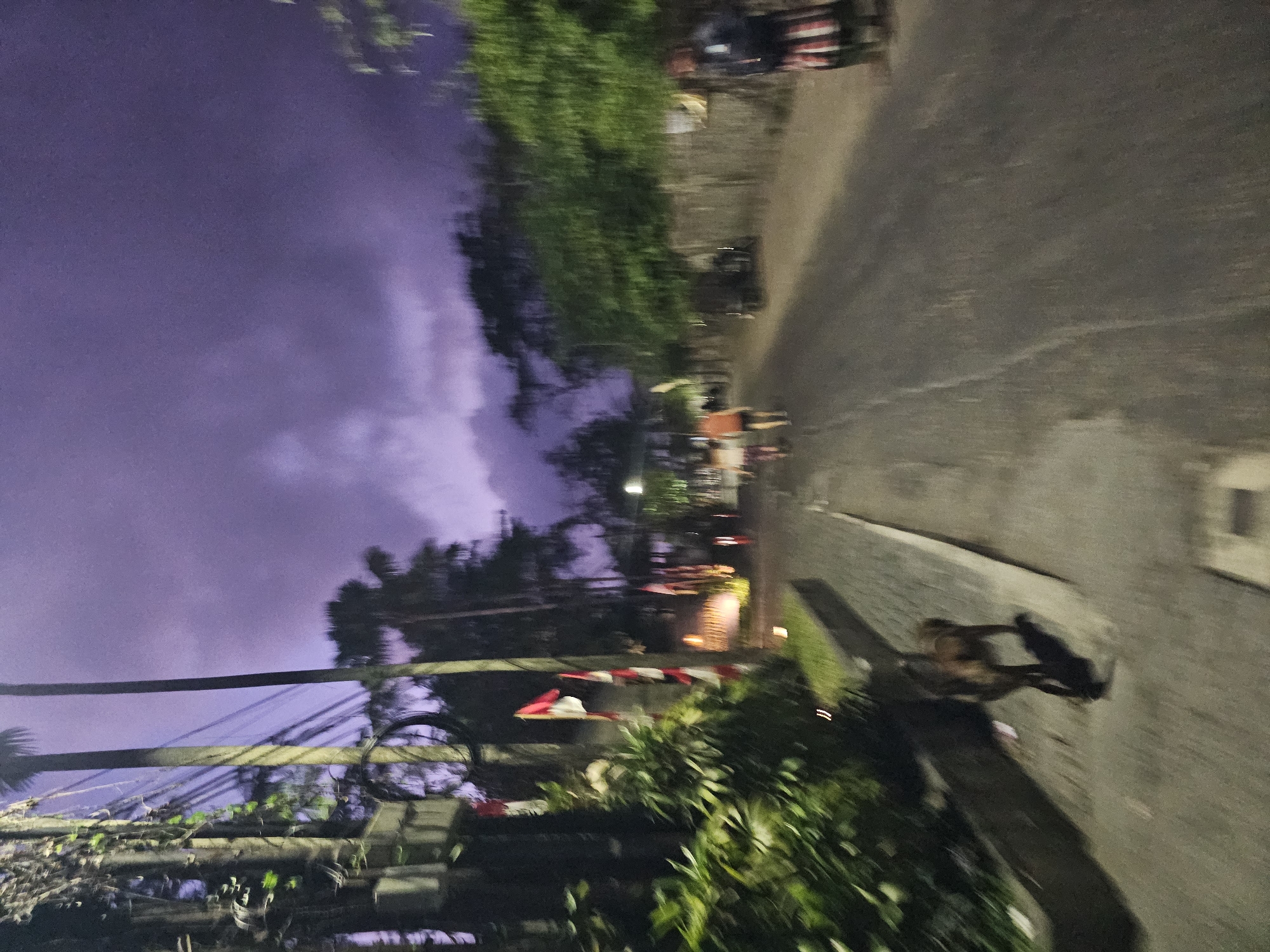 An image taken at dusk on a street in Denpasar, Indonesia, features a purplish, cloudy sky above palm trees and foliage. A street runs through the center of the frame, with a sidewalk on the left and a wall on the right. On the left sidewalk, a dog is walking away from the camera, and several Indonesian flags are displayed. The street is populated by a few blurred figures, including a couple walking away from the camera, a person standing near the right wall, and a motorcycle parked on the right side of the street. The image is characterized by motion blur, indicating the photograph was taken while moving.