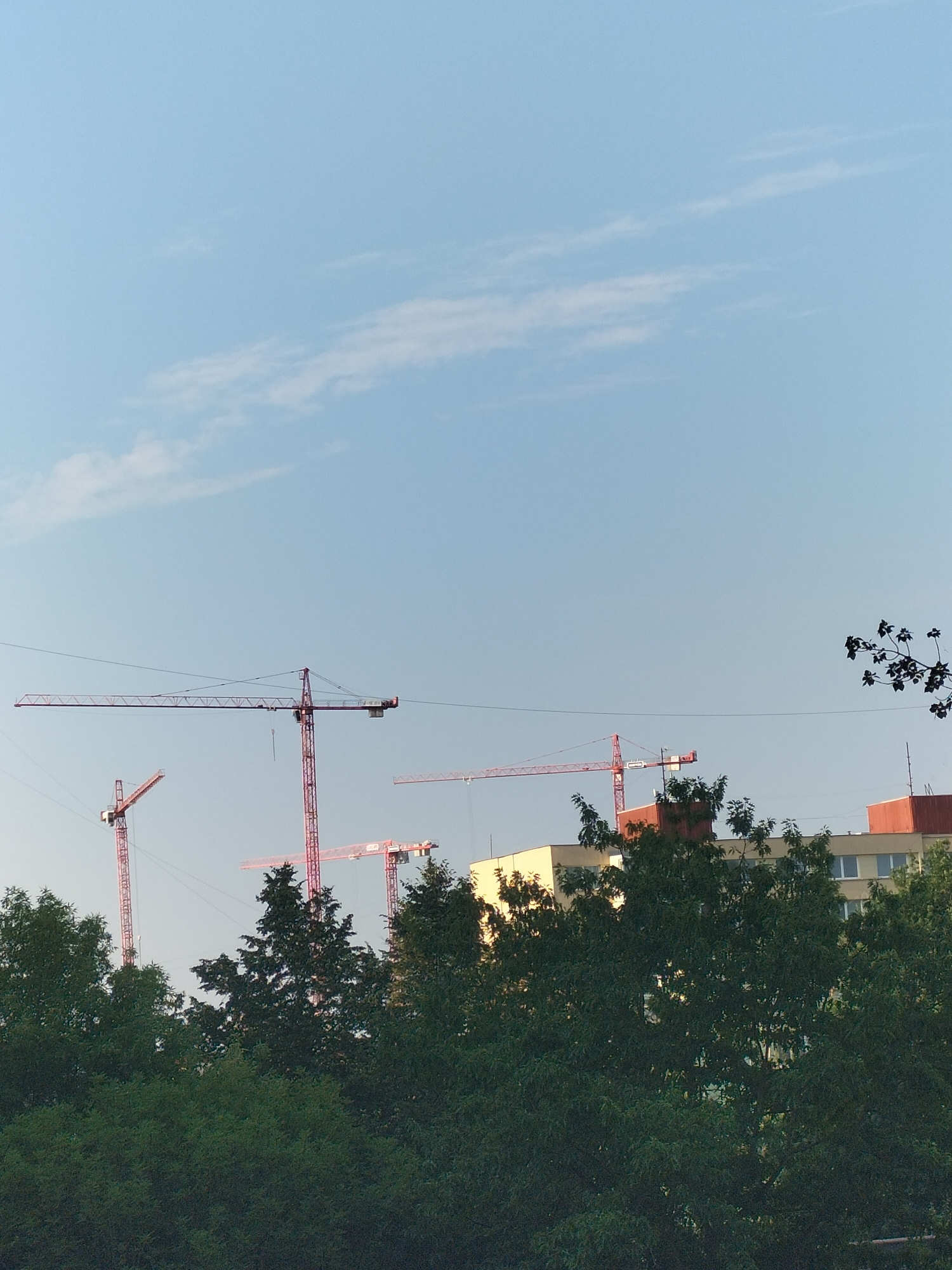 The image captures a daytime scene in České Budějovice, Czechia, featuring a clear sky with sparse clouds. Dominating the upper portion of the frame are several large construction cranes, their red structures contrasting with the pale blue sky. In the middle ground, the upper floors of multi-story buildings are visible, painted in light yellow and red. Dense green trees fill the foreground and parts of the middle ground, obscuring the lower levels of the buildings and the ground. The overall impression is that of an ongoing construction project in an urban environment, partially overgrown with vegetation. There are no people visible in the image.