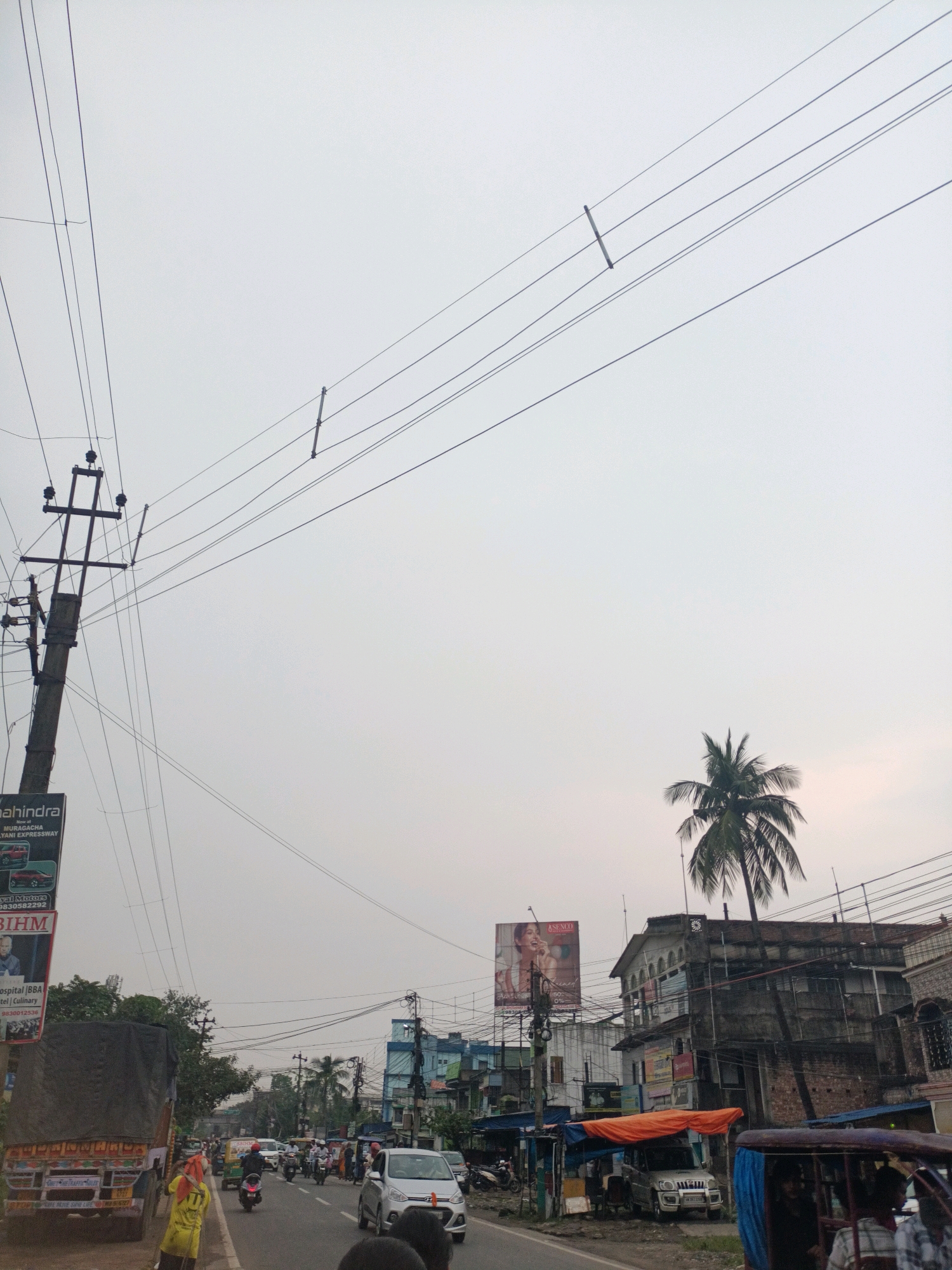 The image depicts a street scene in Nilganj, India, under an overcast sky. A prominent utility pole with numerous wires runs vertically on the left side of the frame, leaning slightly. To the right of the pole is a large billboard advertising "Mahindra" vehicles and promoting "MURAGACHA KALYANI EXPRESSWAY." Below this, another billboard appears to advertise "BIHM Hospital" with contact numbers.
The street itself is paved and features moderate vehicular traffic. A large truck, covered with a dark tarp, is parked on the left shoulder, with a person in a yellow outfit standing near its rear. Several motorcycles, an auto-rickshaw, and a silver car are visible on the road, along with a few pedestrians. Buildings line both sides of the street, varying in architectural style and condition. Some appear to be commercial establishments with shops and awnings, while others are residential.
A tall palm tree stands out against the sky on the right side of the image, behind a multi-story building. Electrical wires crisscross the scene, suspended from poles and some structures. The overall impression is of a busy, somewhat cluttered urban environment.