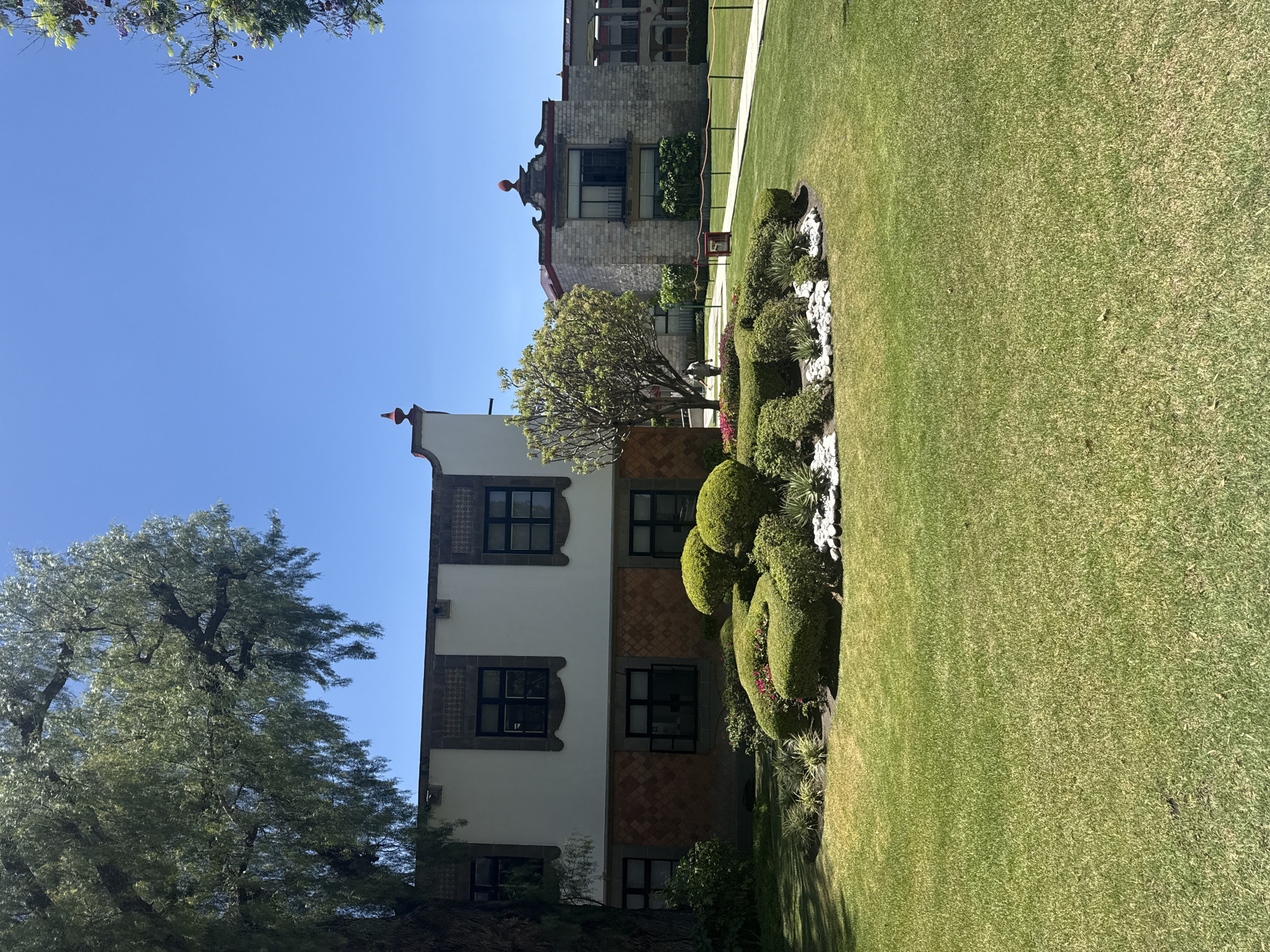 The image depicts a building facade in San Andrés Cholula, Mexico. The building has a white and brown facade with dark-framed windows. To the left is a large tree with light green foliage. To the right is a well-manicured lawn and garden area featuring rounded shrubbery and white stones. The sky is clear and blue, indicating a sunny day.